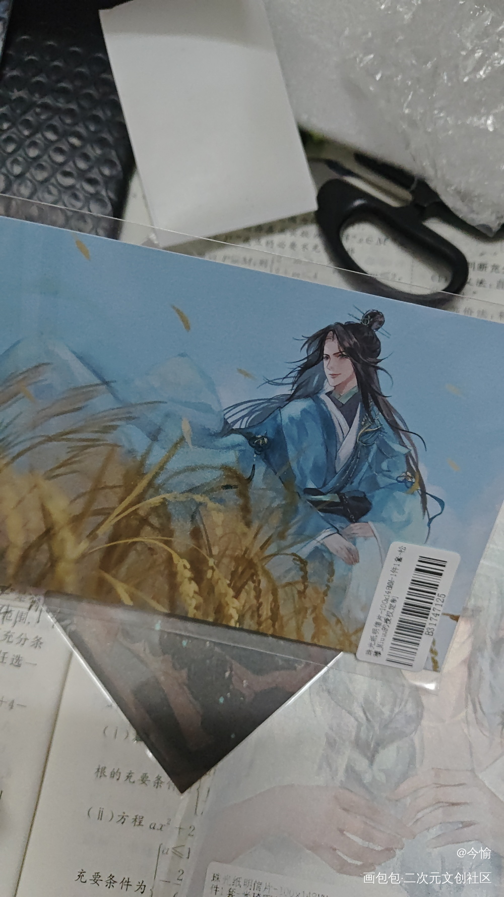 ～(￣▽￣～)~_代号鸢授权返图绘画作品