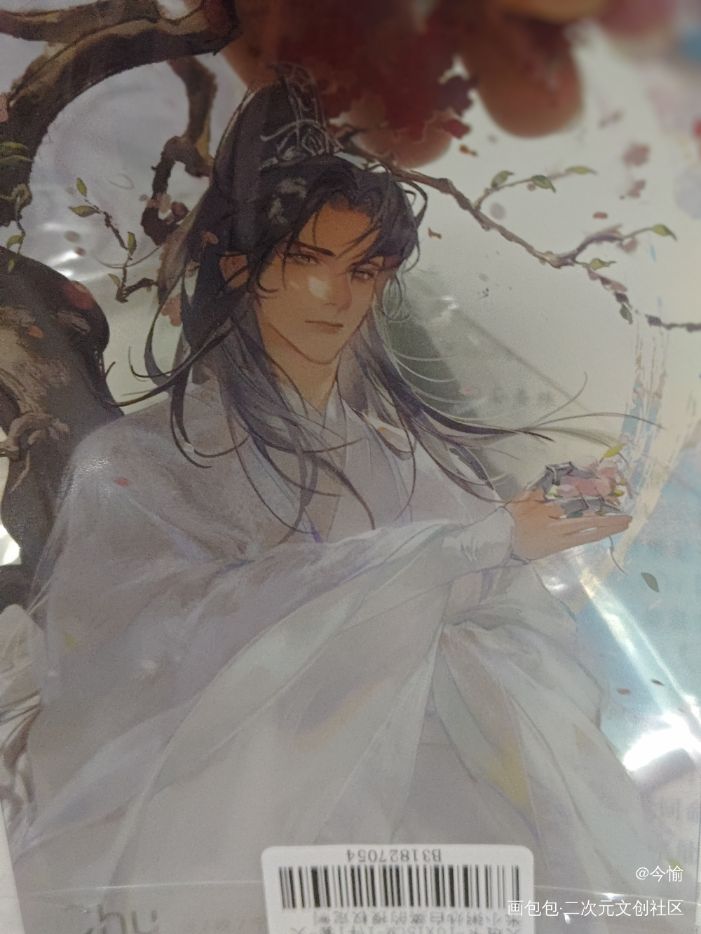 ～(￣▽￣～)~_二哈和他的白猫师尊授权返图绘画作品