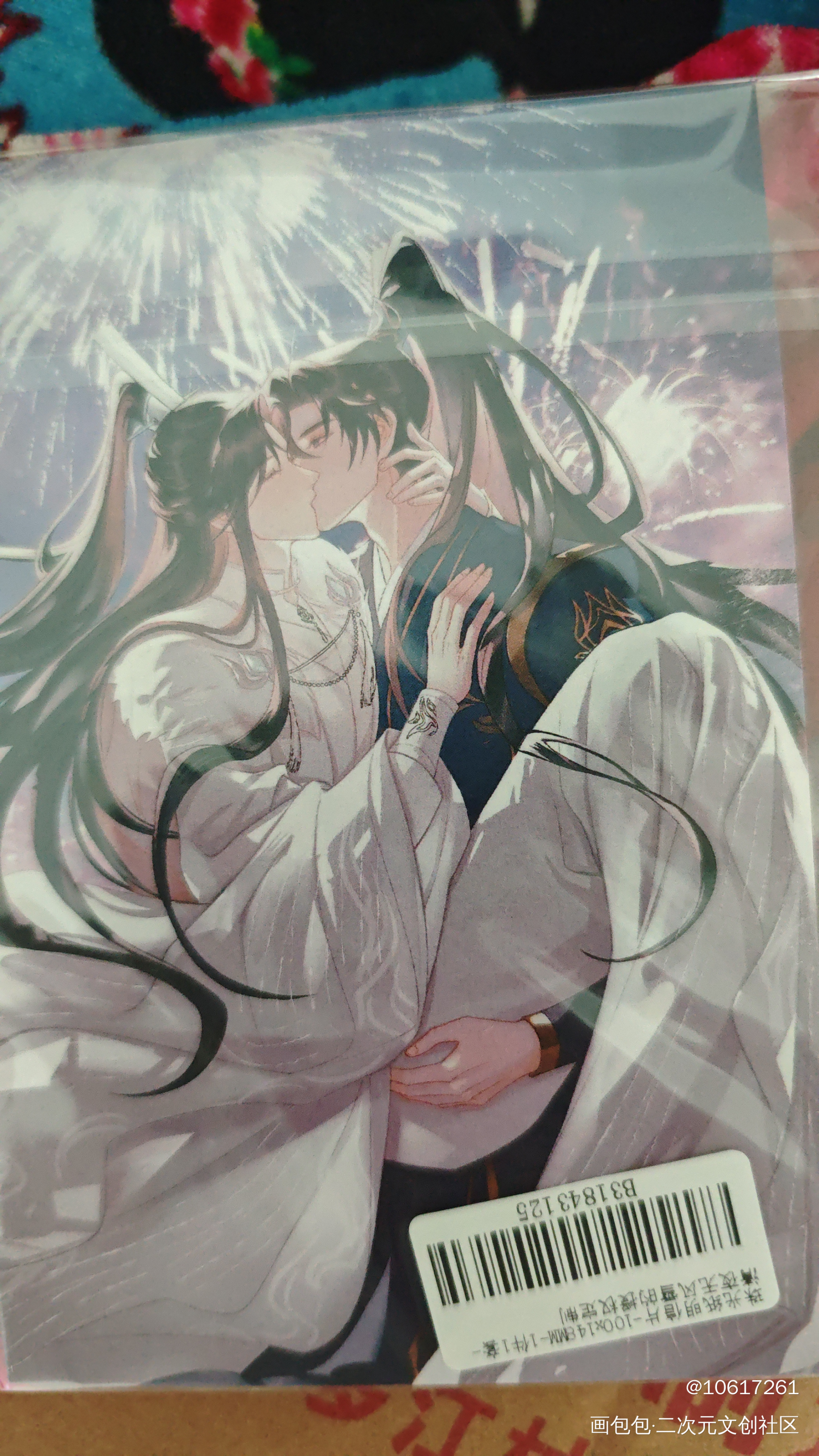 _二哈和他的白猫师尊授权返图绘画作品