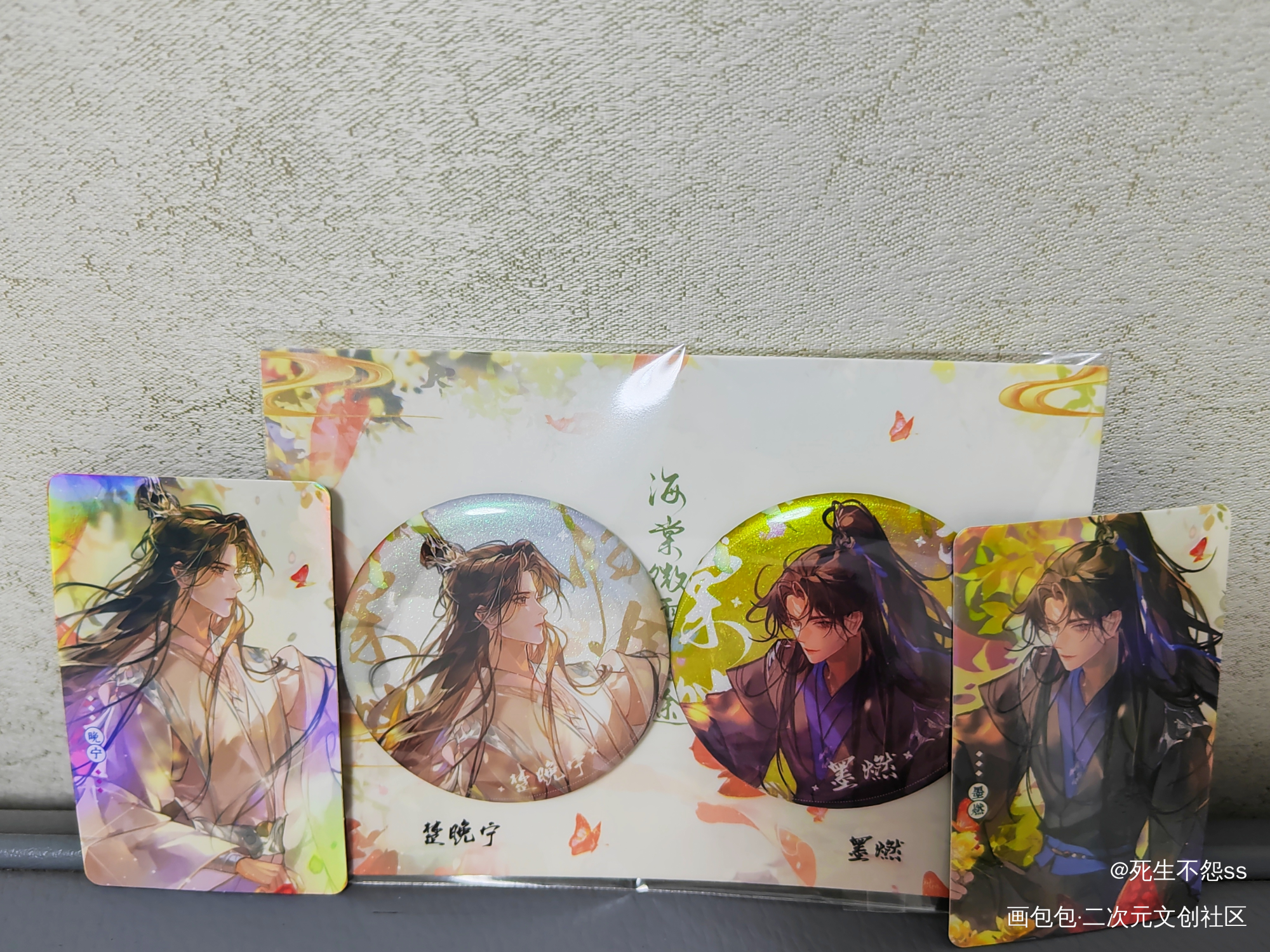 _二哈和他的白猫师尊燃晚绘画作品
