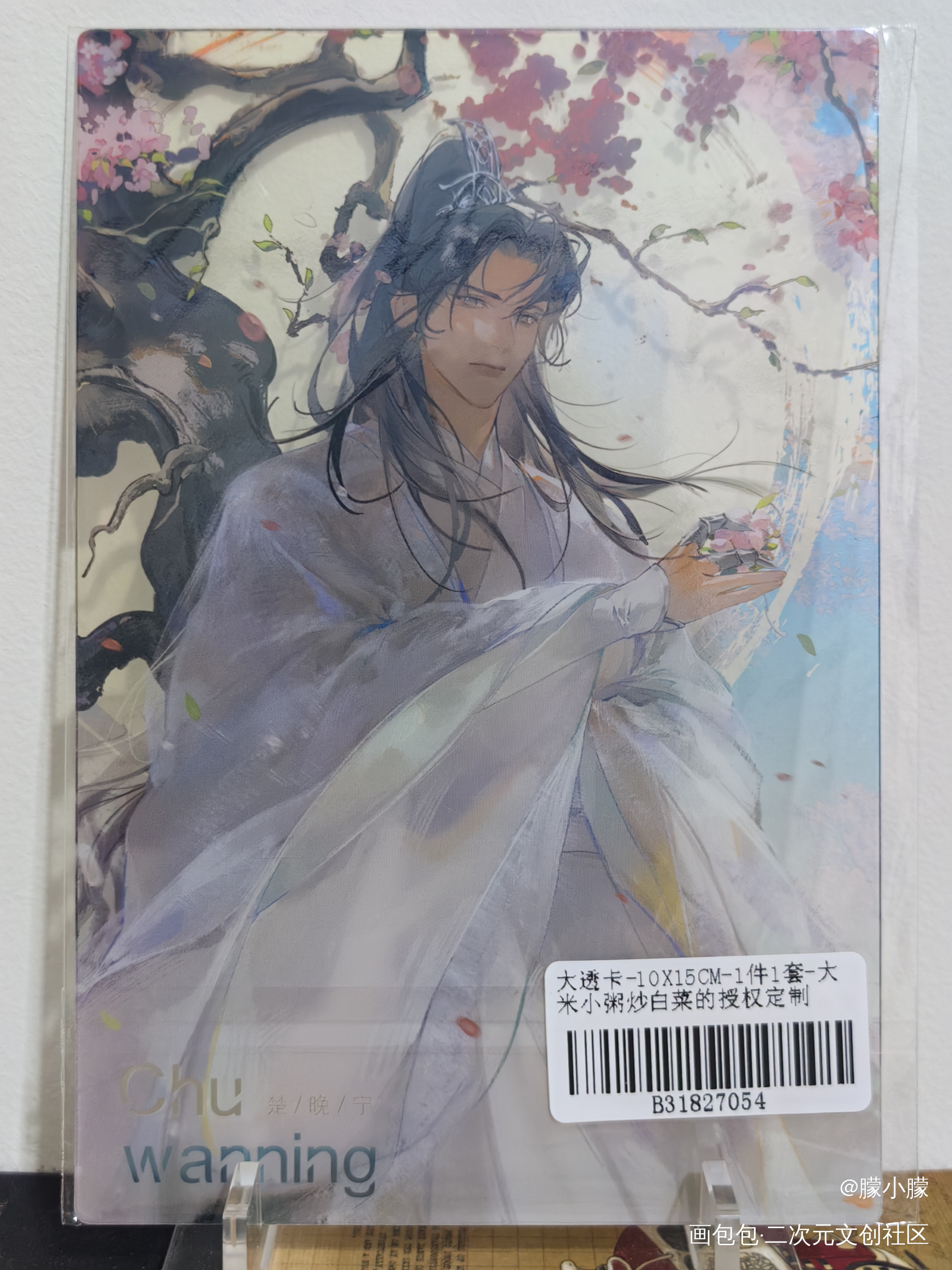 🌺🌺🌺_二哈和他的白猫师尊授权返图绘画作品