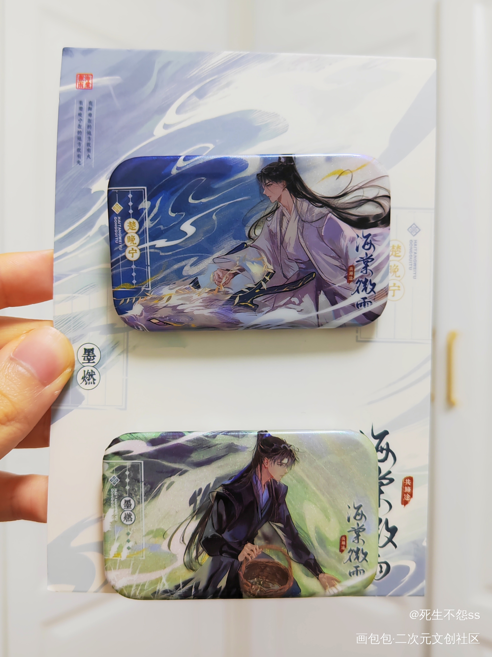 _二哈和他的白猫师尊燃晚绘画作品