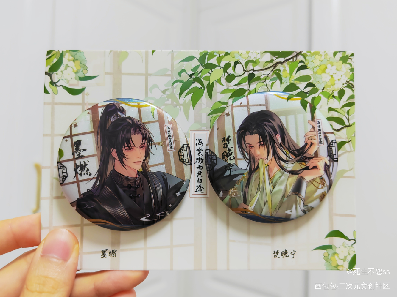 _二哈和他的白猫师尊燃晚绘画作品