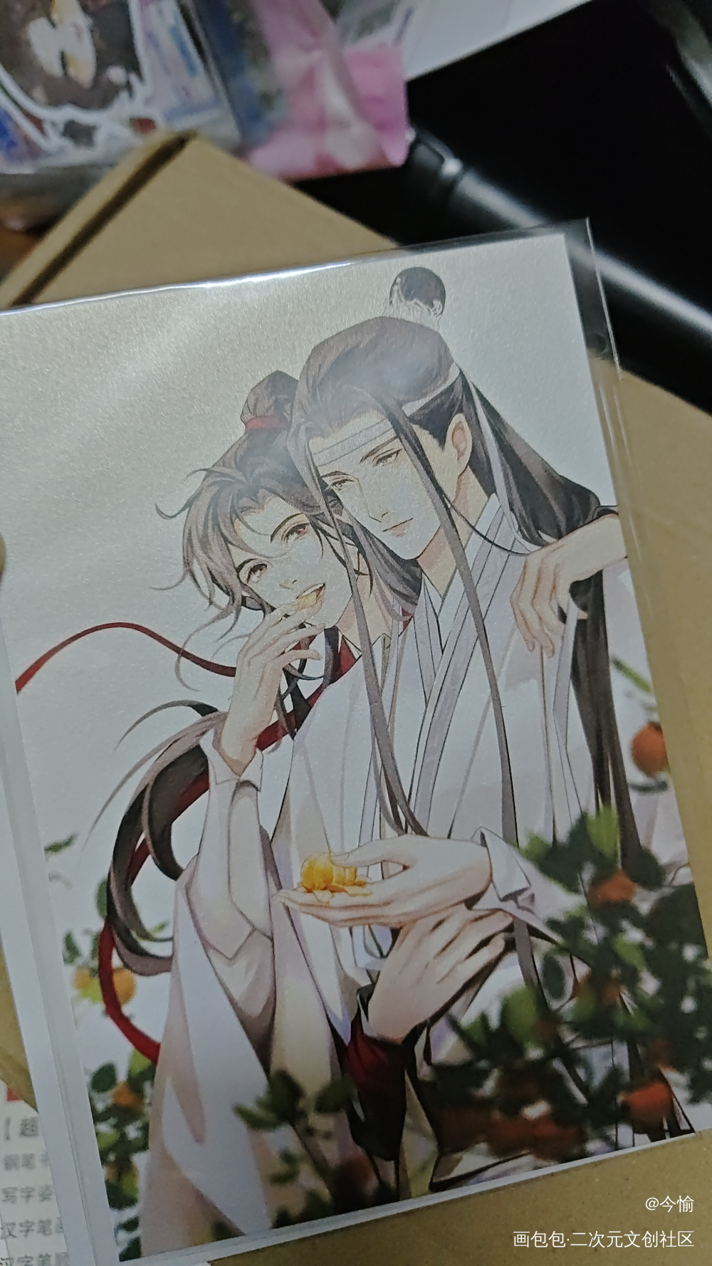 🥰🥰🥰_魔道祖师授权返图绘画作品