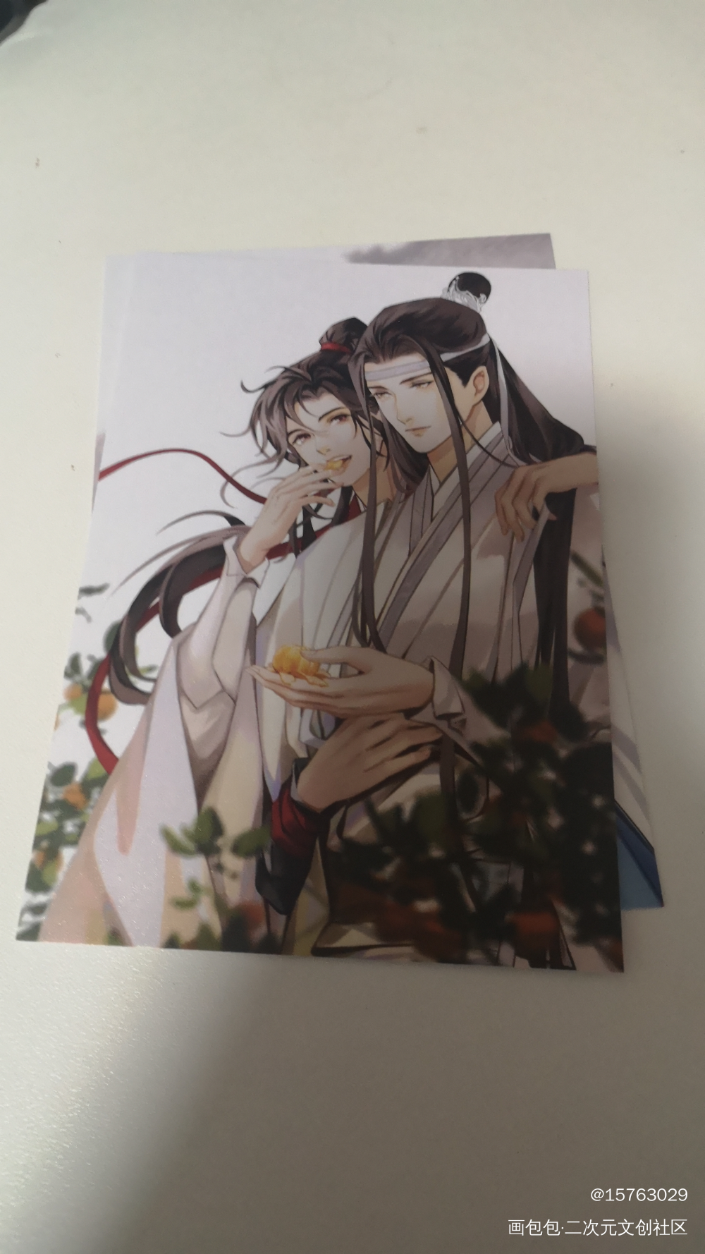_魔道祖师绘画作品