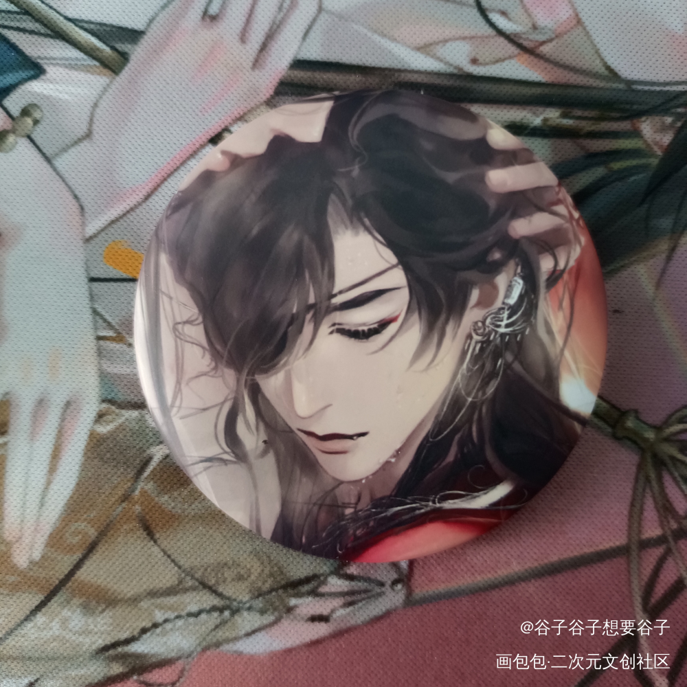 花怜爱的抱抱_天官赐福授权返图花怜花城·天官赐福谢怜·天官赐福绘画作品