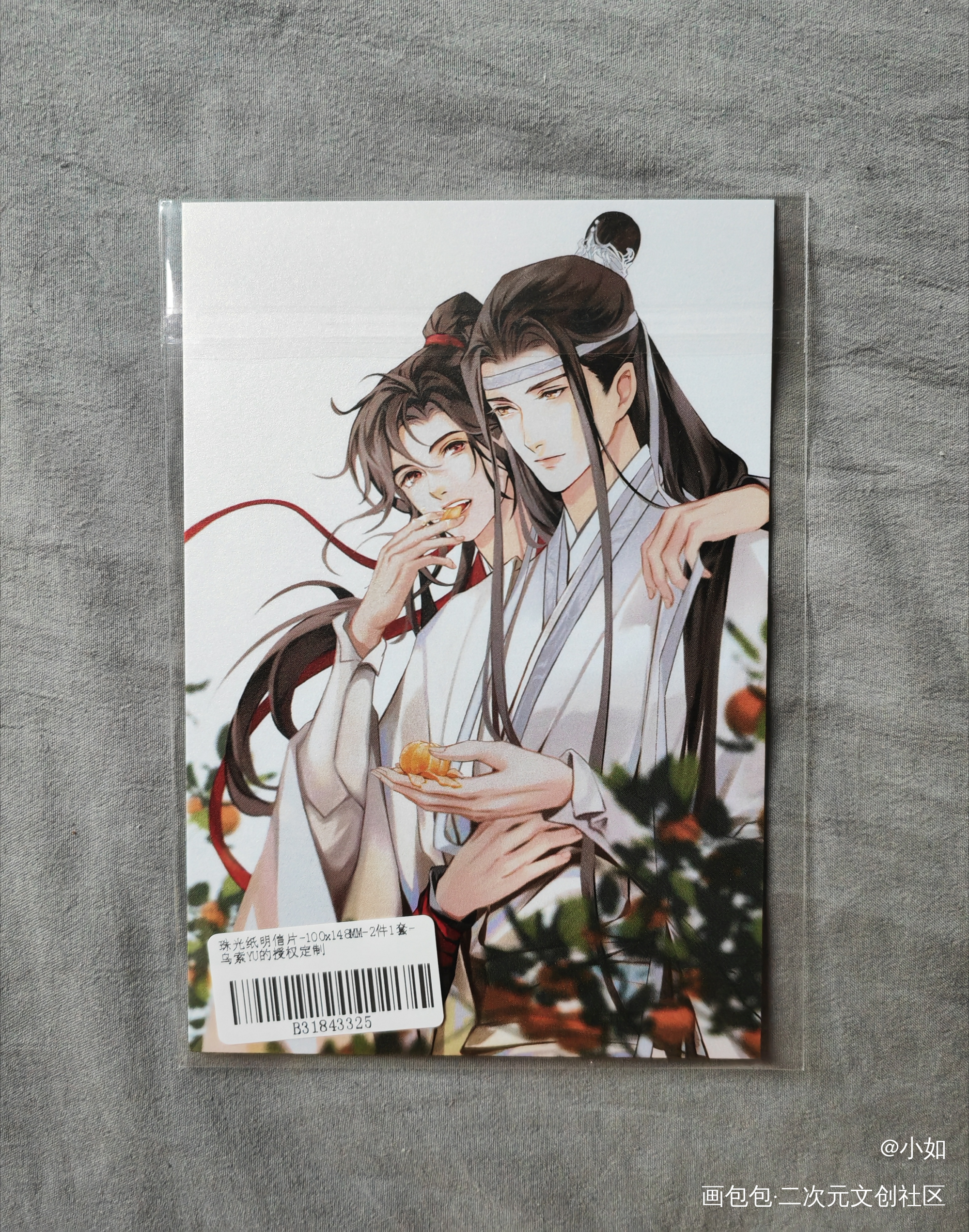 _魔道祖师授权返图绘画作品