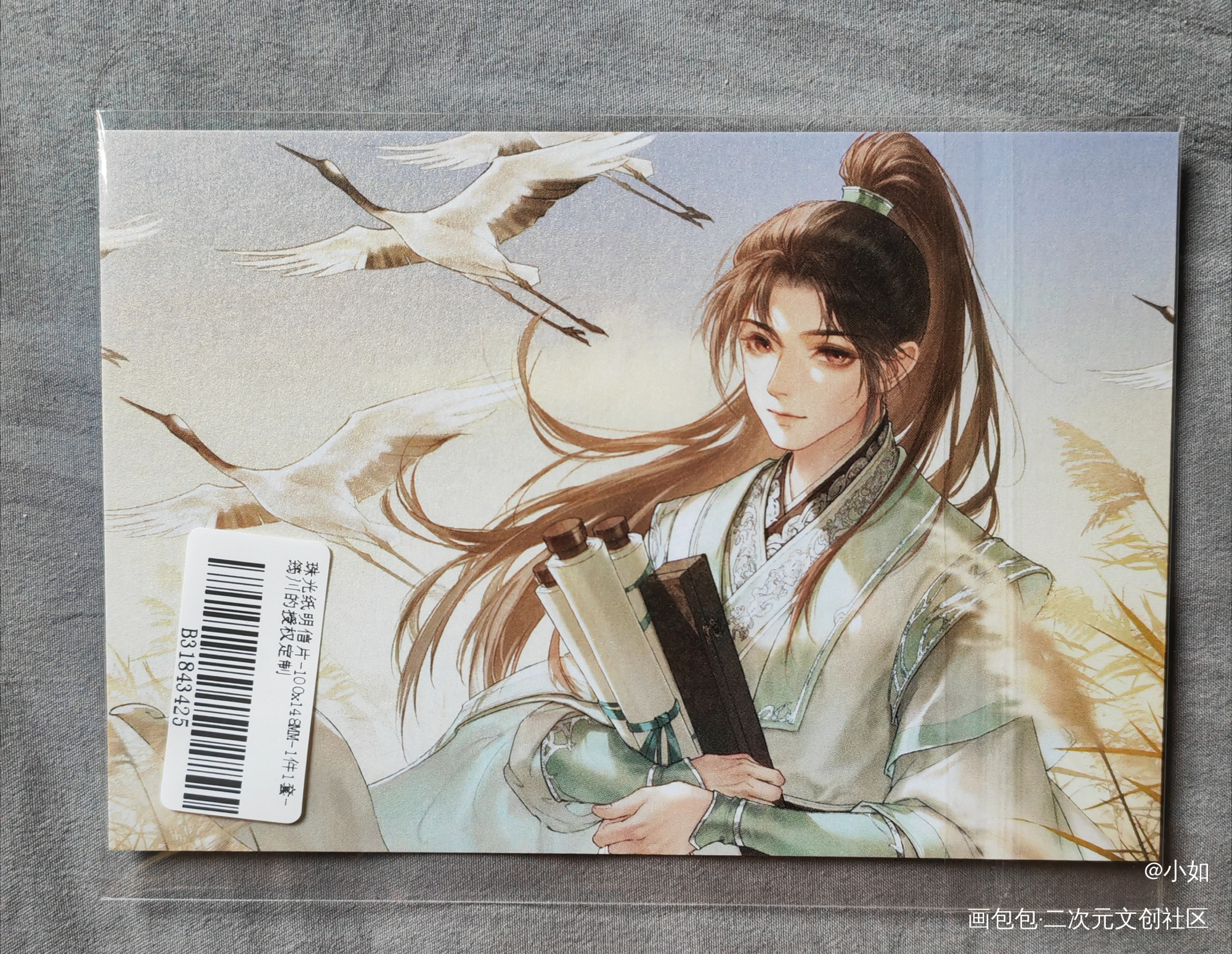 _人渣反派自救系统授权返图绘画作品