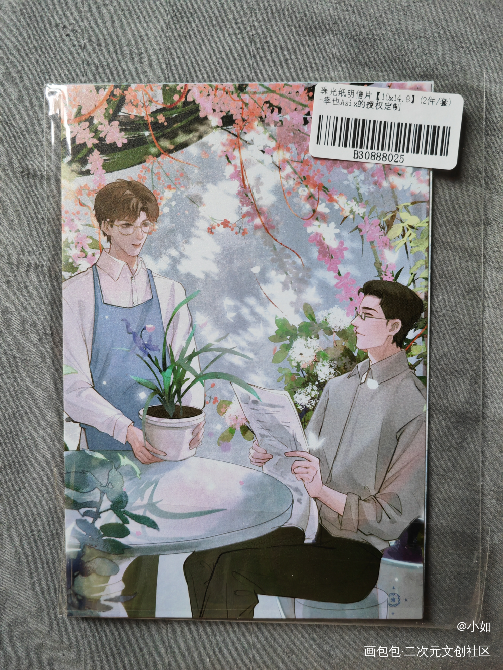_穿堂惊掠琵琶声授权返图绘画作品