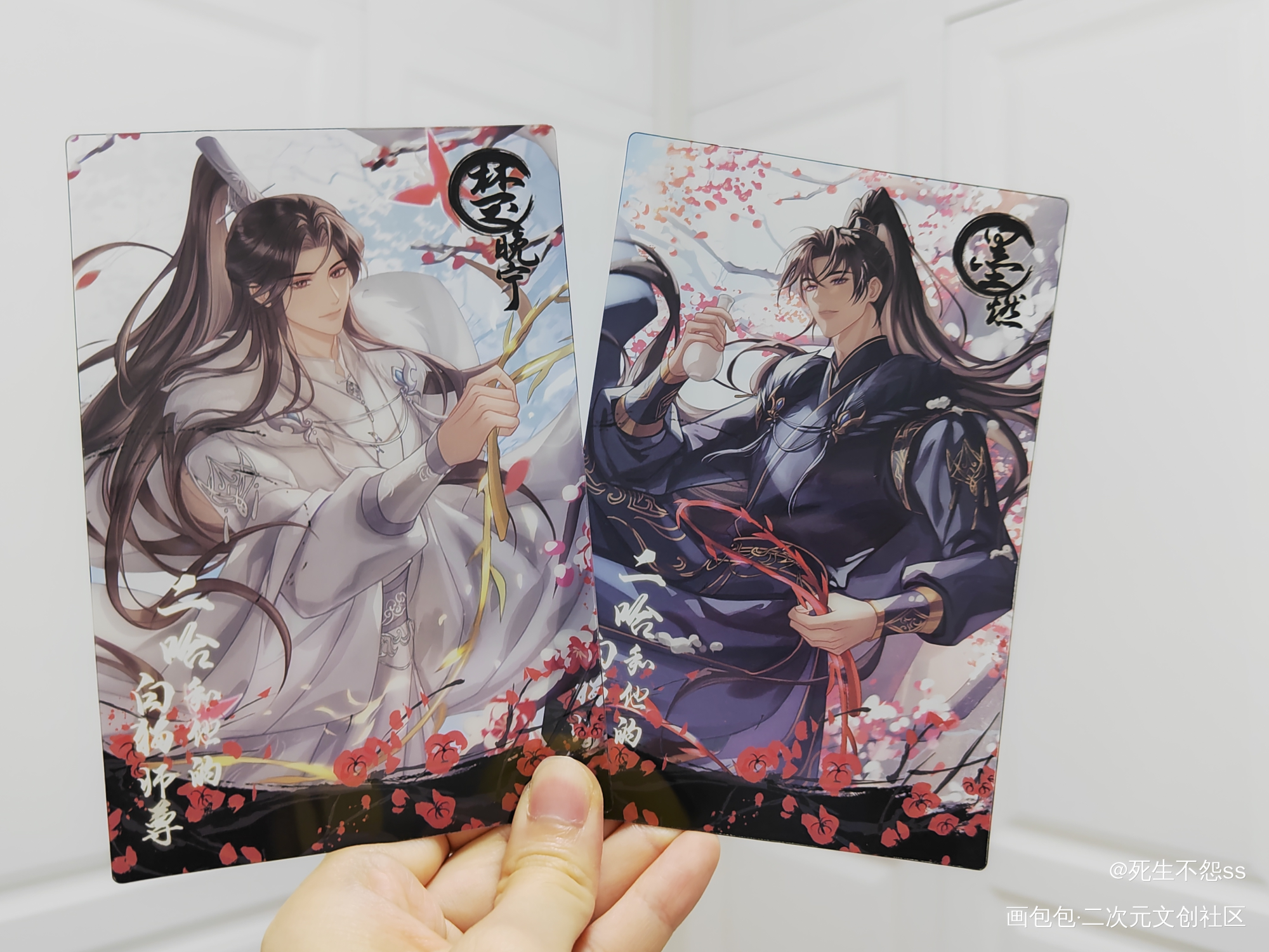 _二哈和他的白猫师尊授权返图绘画作品