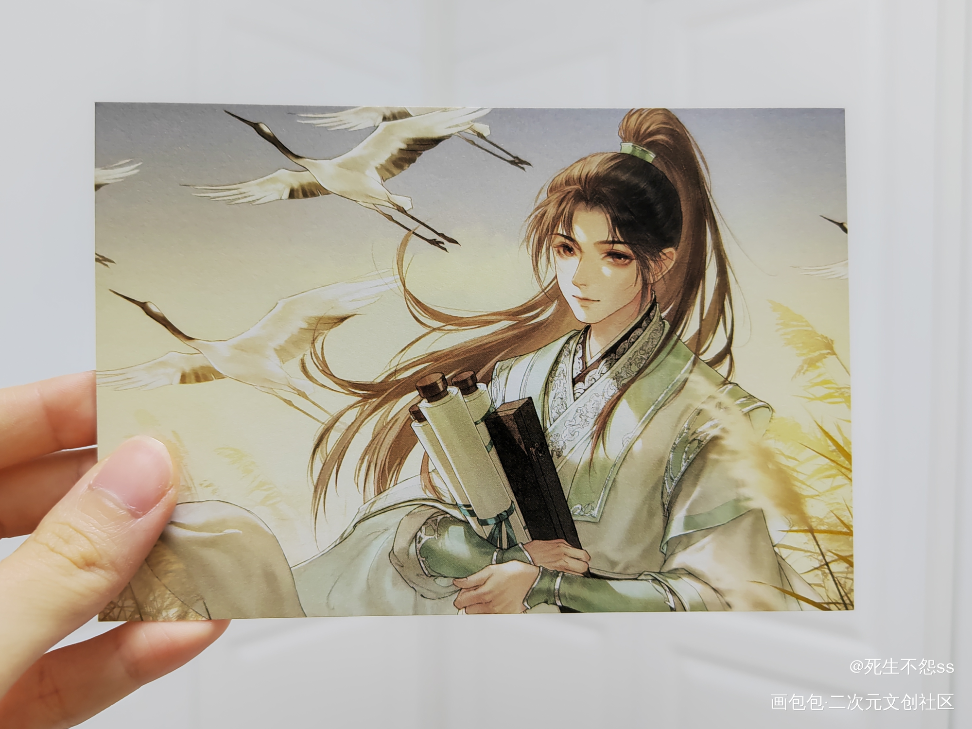 _人渣反派自救系统授权返图绘画作品