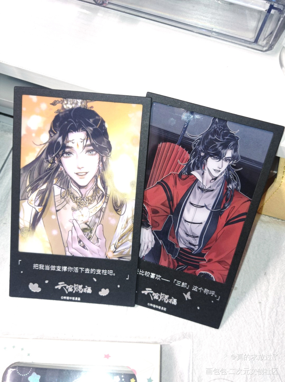 _天官赐福谢怜花城绘画作品