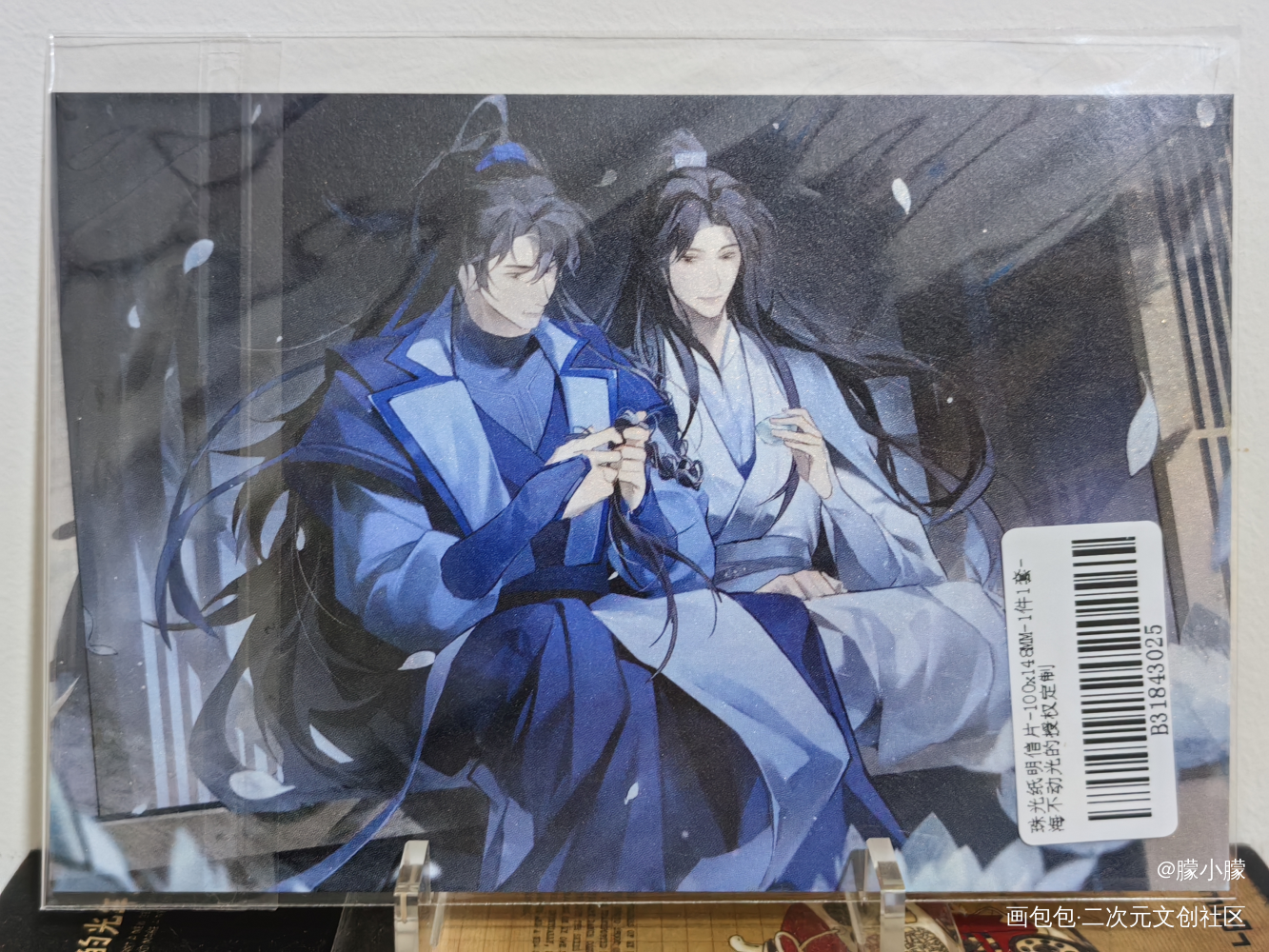 🌺🌺🌺_二哈和他的白猫师尊授权返图绘画作品