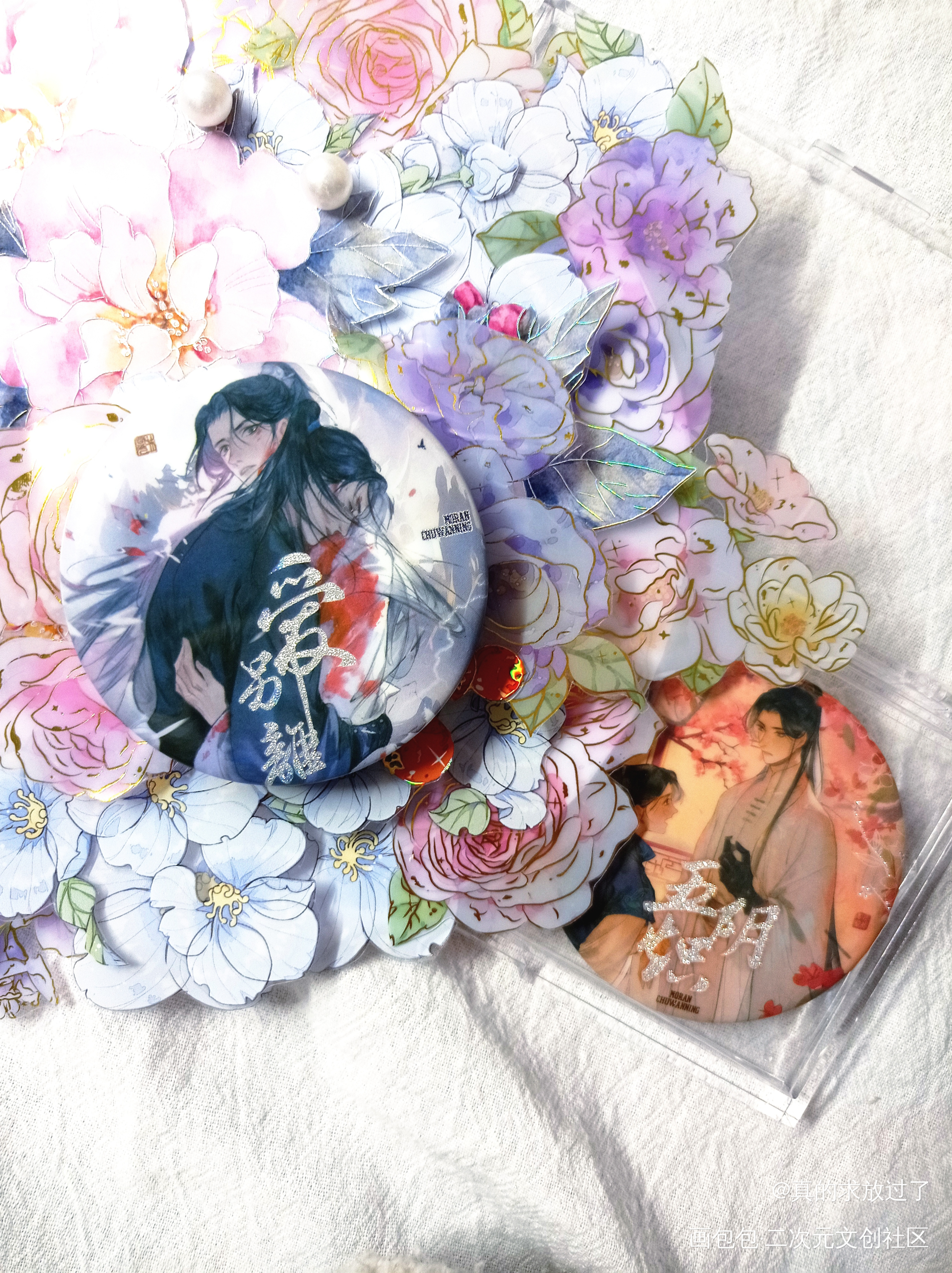 _二哈和他的白猫师尊墨燃楚晚宁绘画作品