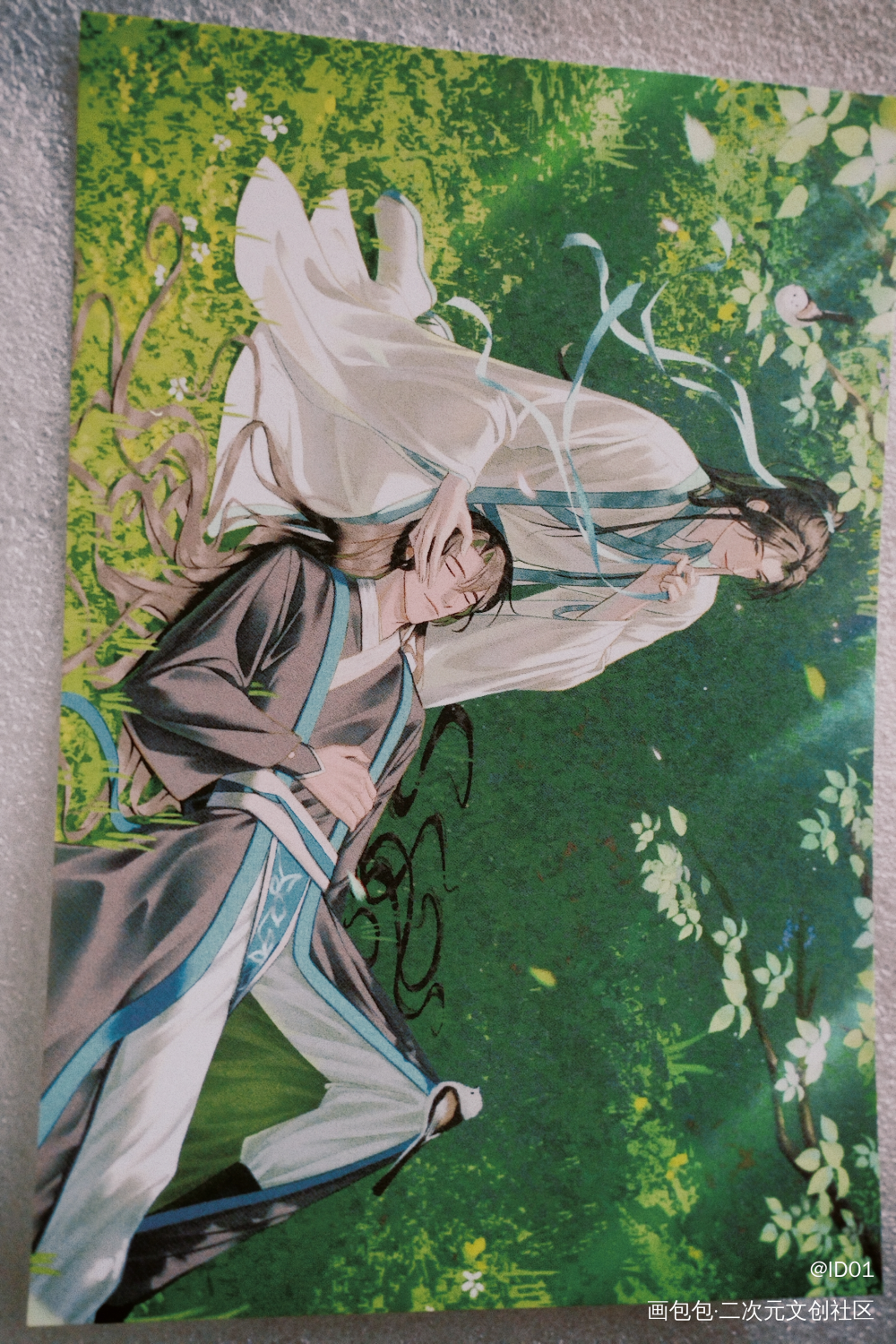 _二哈和他的白猫师尊授权返图绘画作品