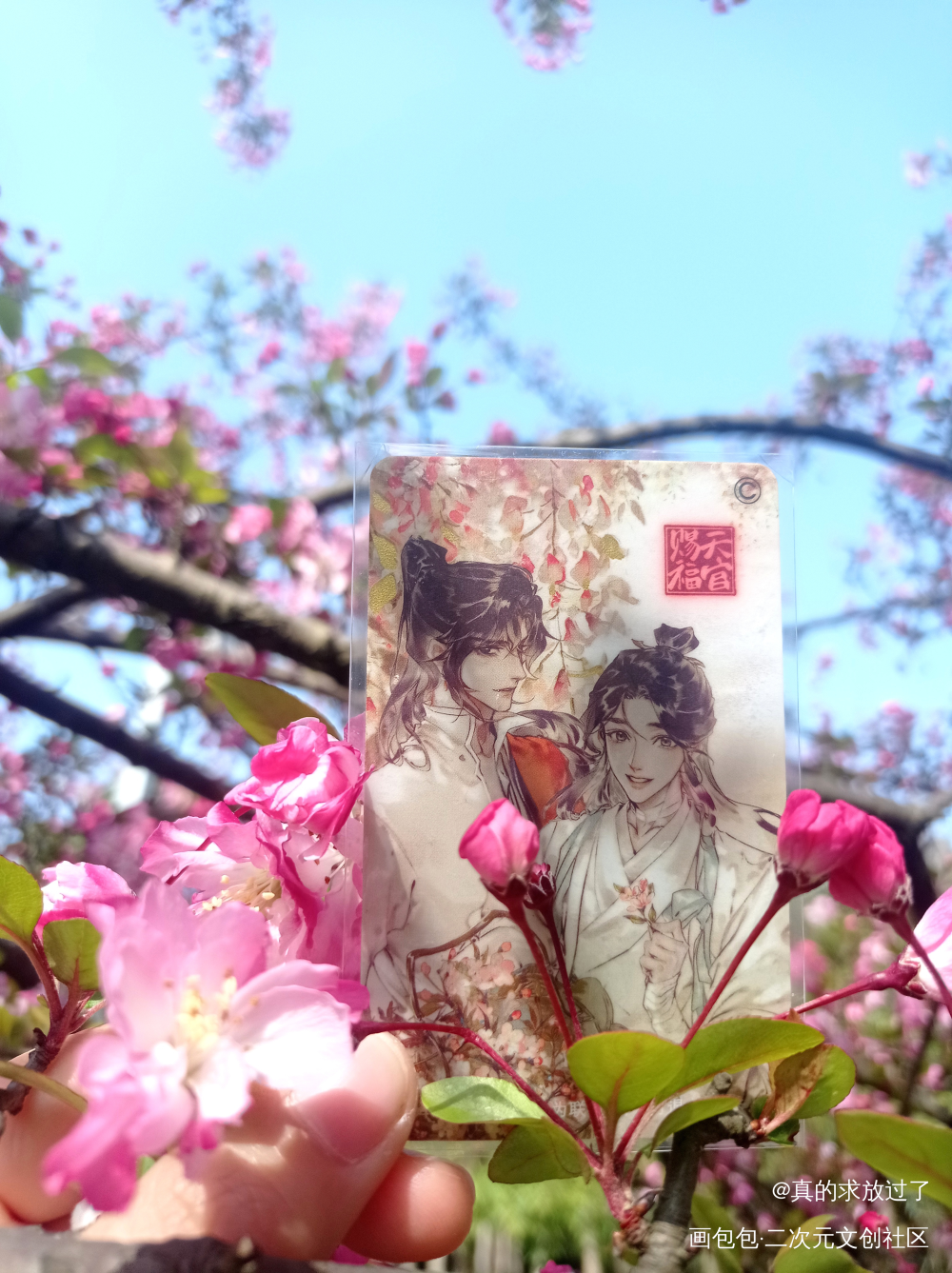 _天官赐福谢怜花城绘画作品