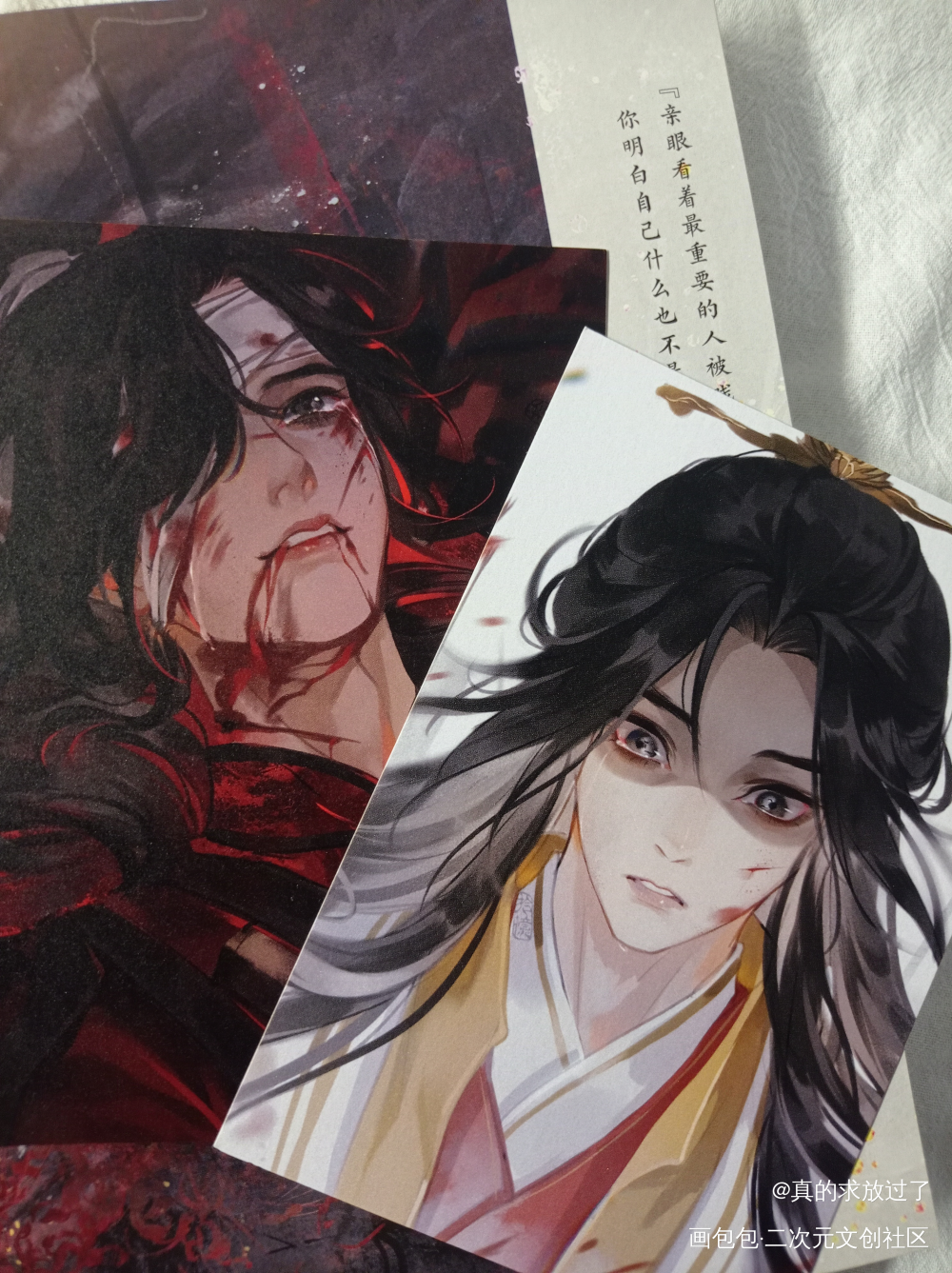 _天官赐福谢怜花城绘画作品
