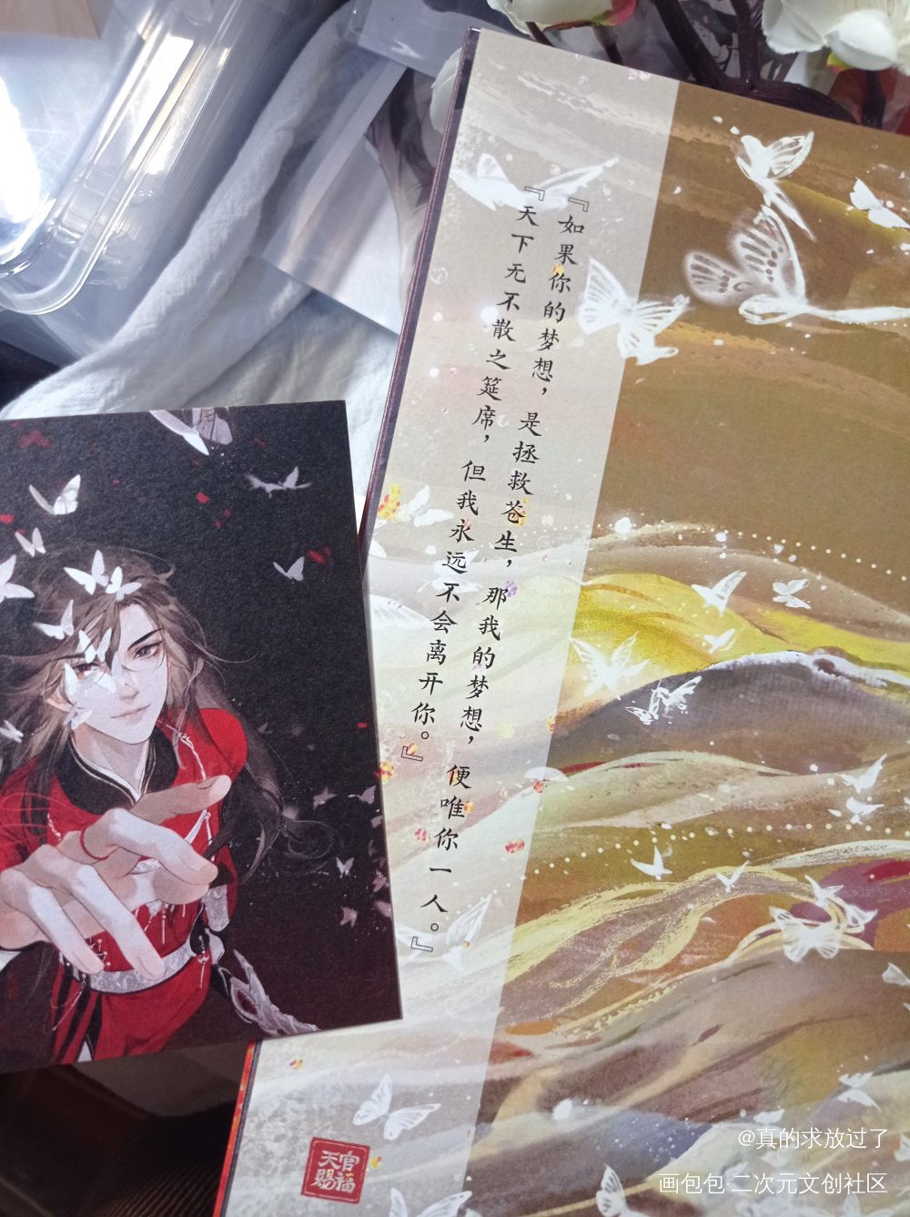 _天官赐福谢怜花城绘画作品