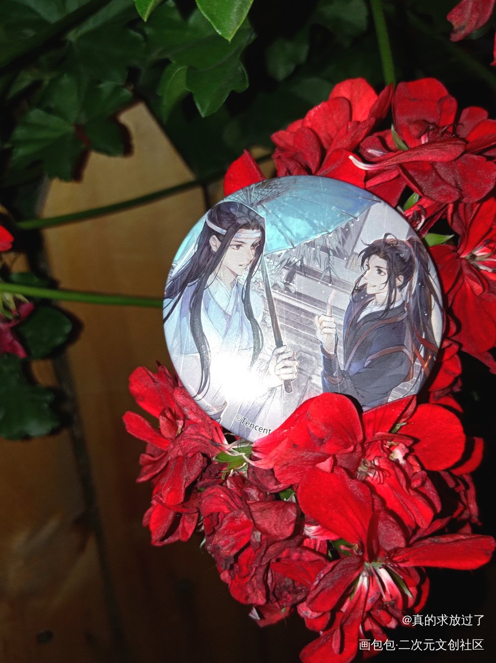 _魔道祖师蓝忘机魏无羡绘画作品