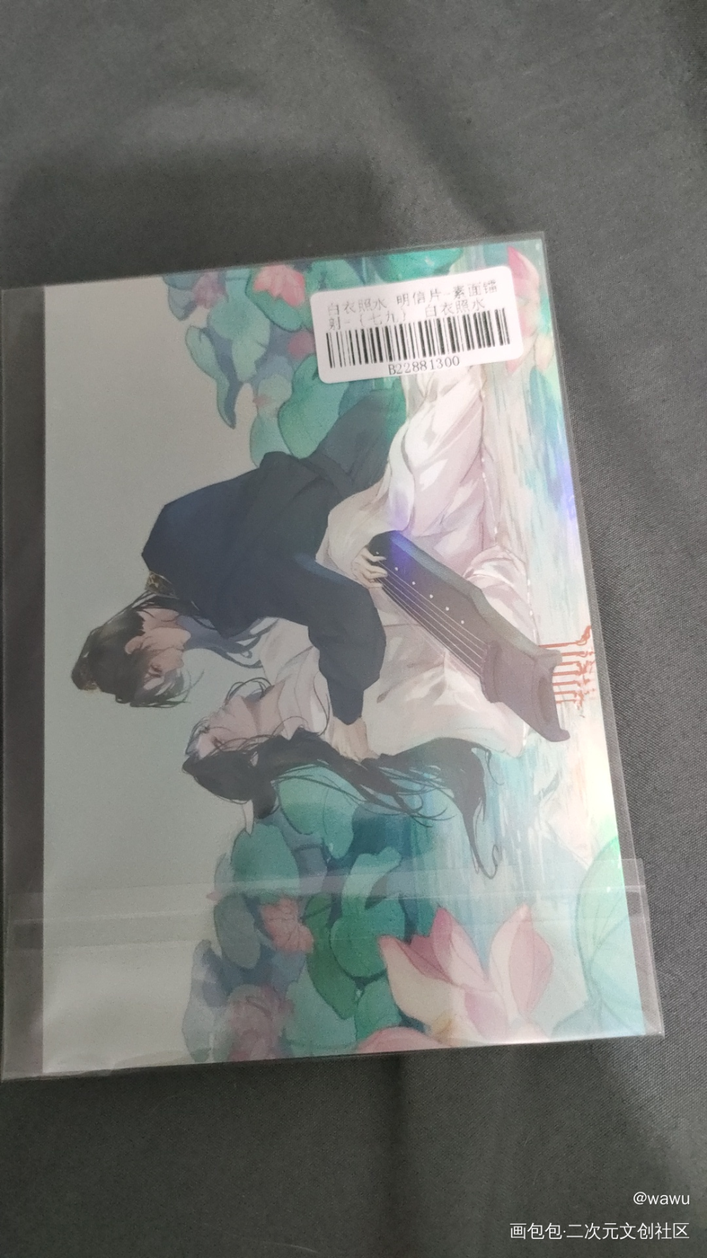 _二哈和他的白猫师尊无料返图绘画作品
