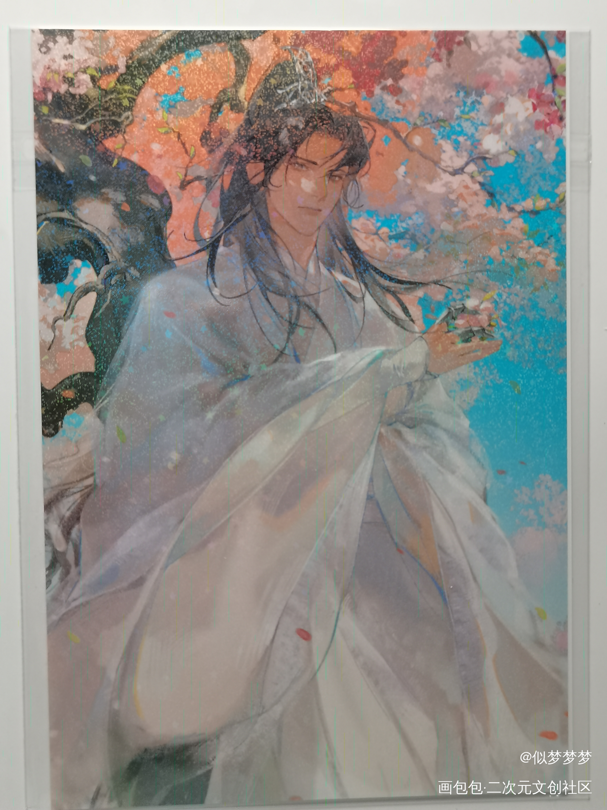 _二哈和他的白猫师尊无料返图绘画作品