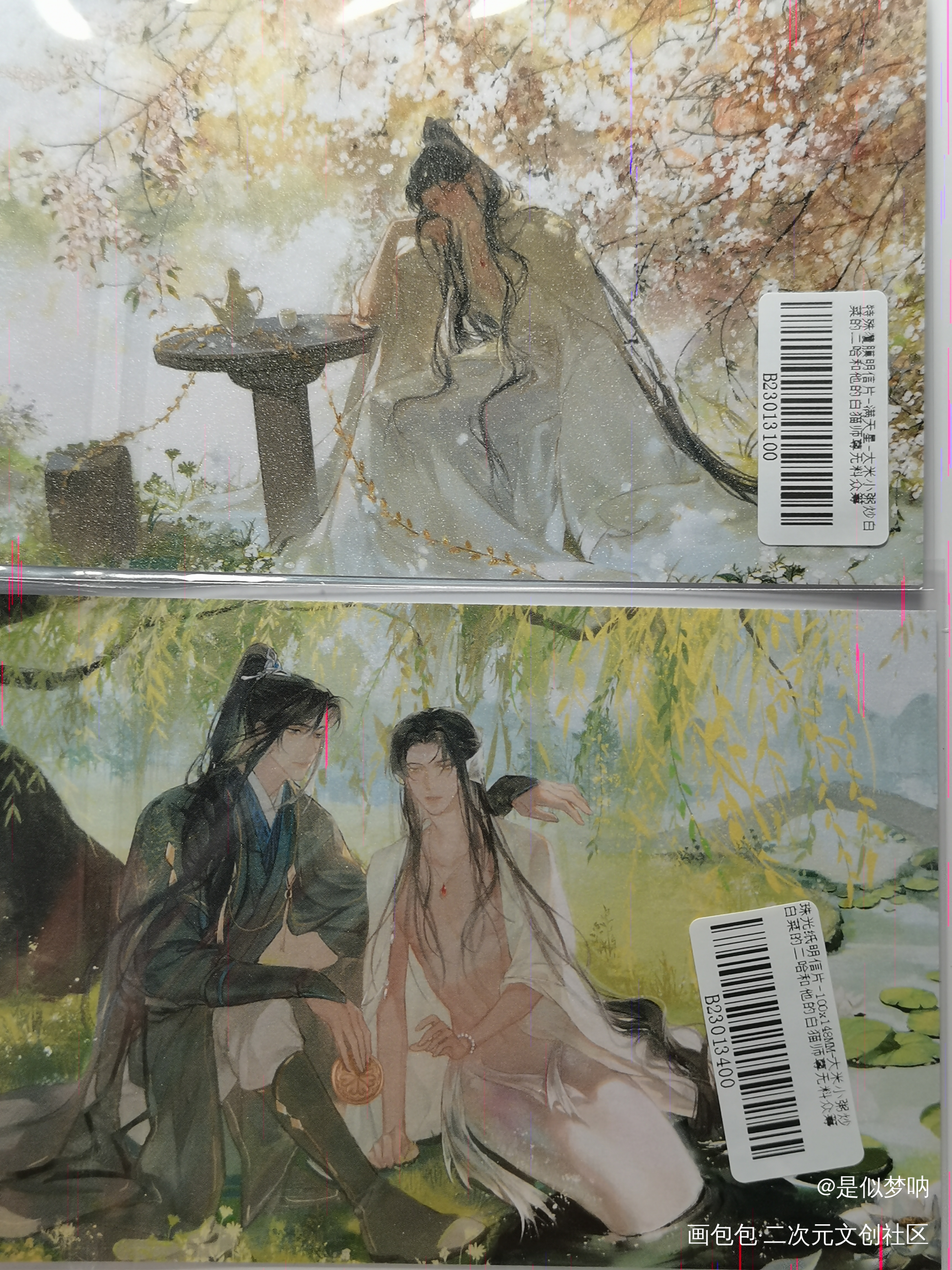 _二哈和他的白猫师尊无料返图绘画作品