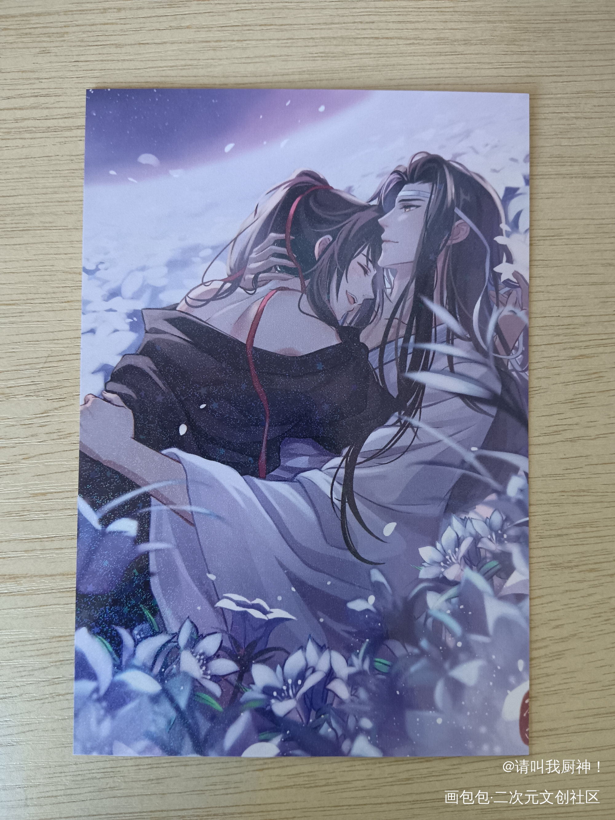 这是野zhan完吗_魔道祖师蓝忘机·魔道祖师魏无羡·魔道祖师蓝忘机魏无羡绘画作品