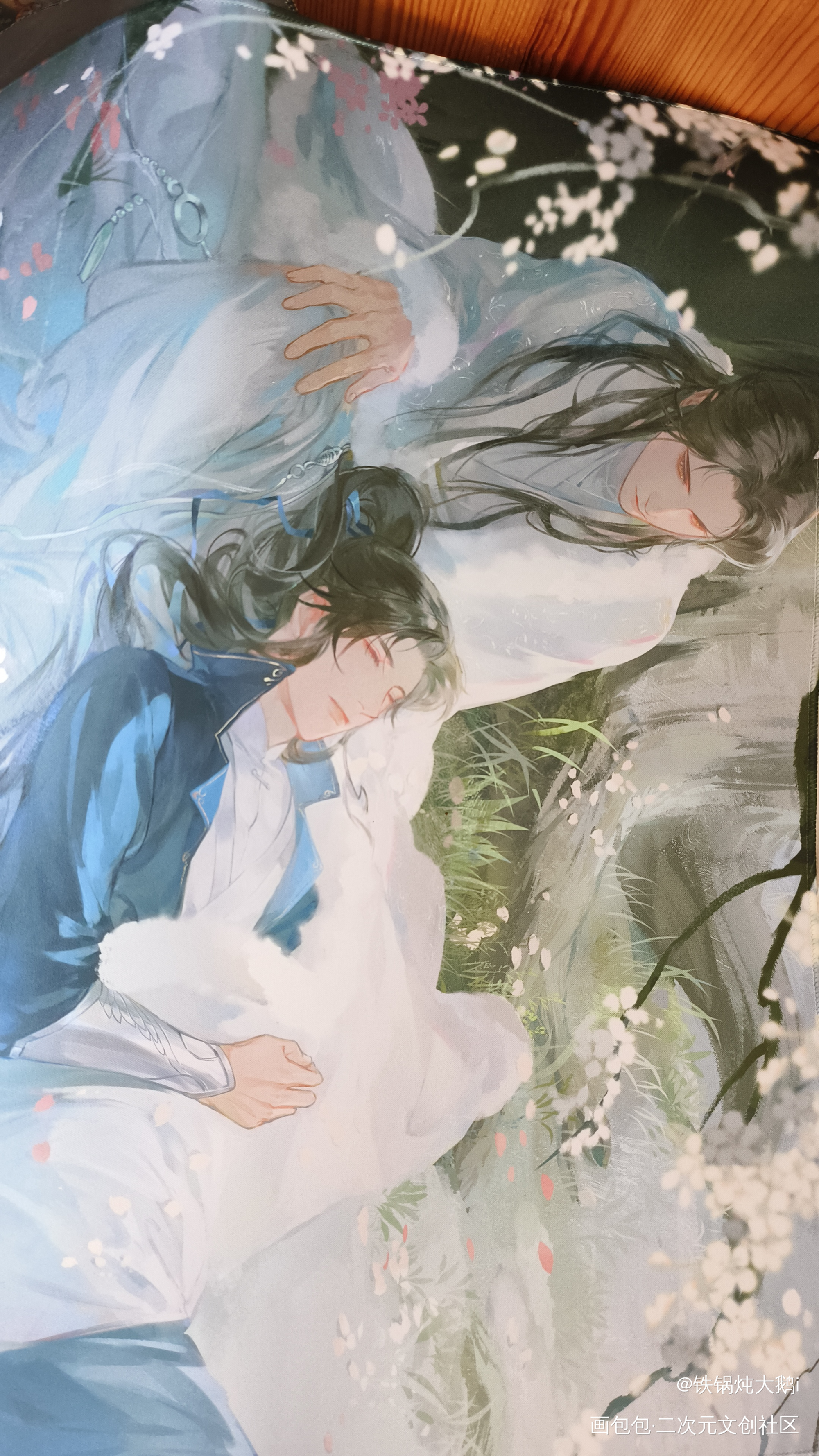 _二哈和他的白猫师尊授权返图绘画作品