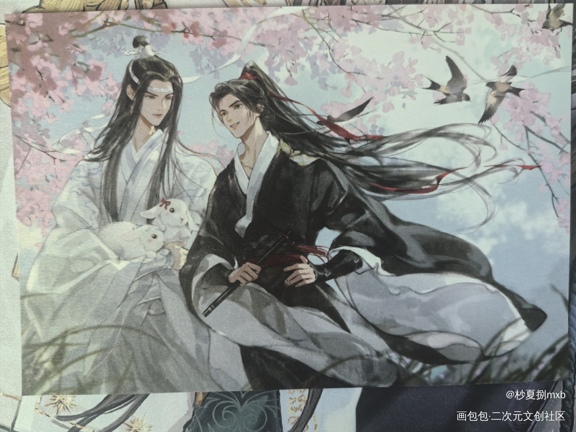 _授权返图蓝忘机·魔道祖师魏无羡·魔道祖师绘画作品