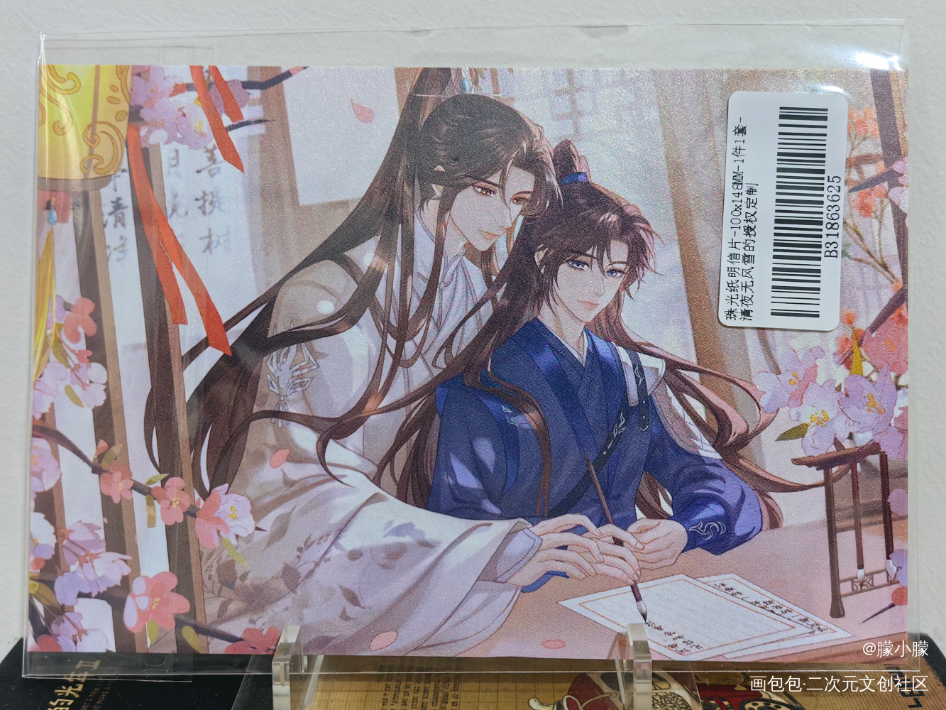 🌺🌺🌺_二哈和他的白猫师尊授权返图绘画作品