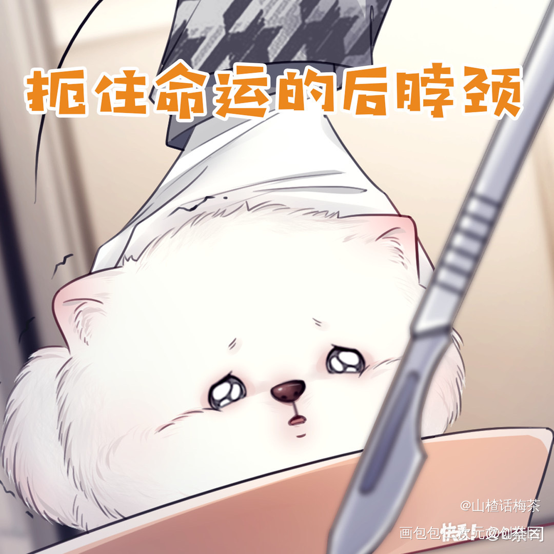 表情包分享🐶_绘画作品