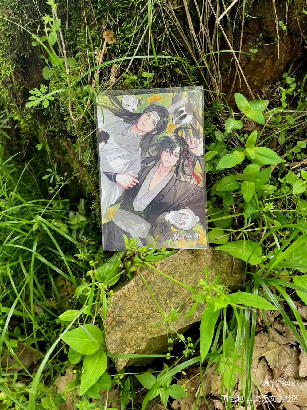 _魔道祖师忘羡蓝忘机·魔道祖师魏无羡·魔道祖师墨香铜臭绘画作品