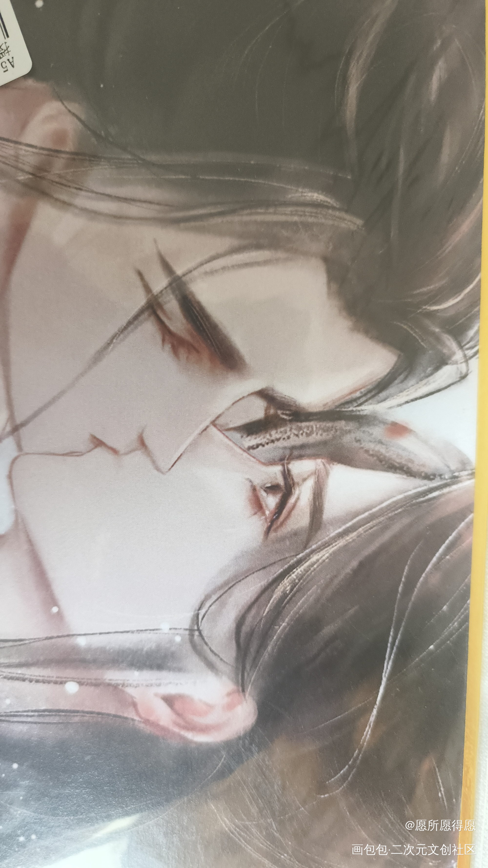 _二哈和他的白猫师尊授权返图绘画作品