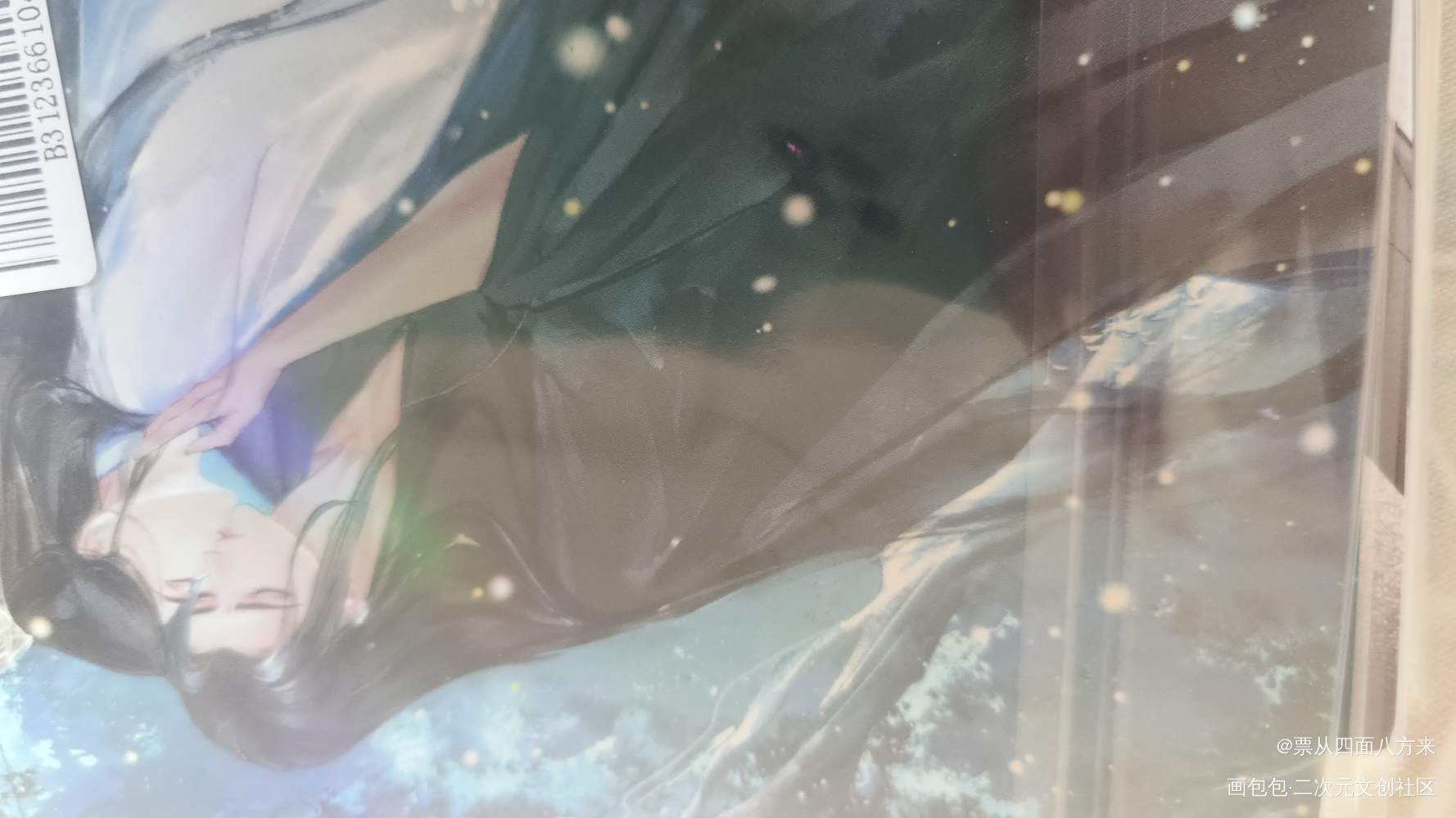 _二哈和他的白猫师尊授权返图绘画作品