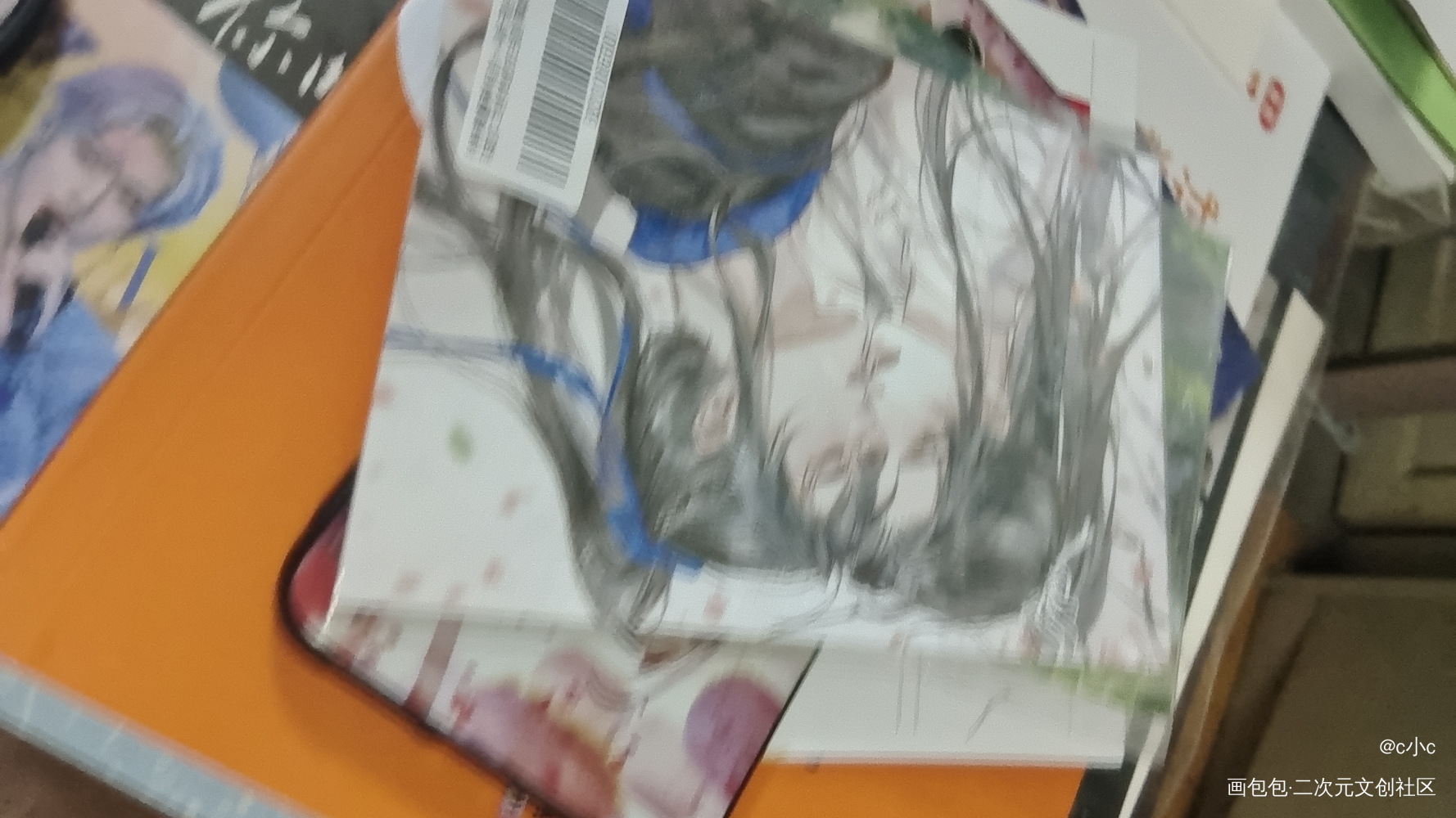_二哈和他的白猫师尊无料返图绘画作品