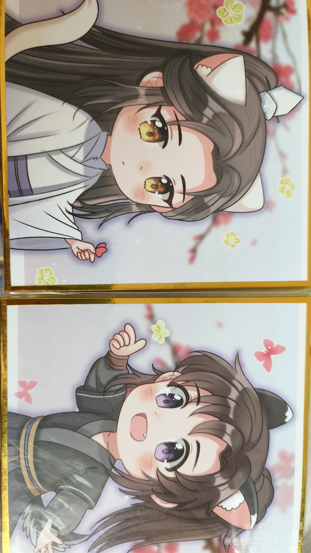 _二哈和他的白猫师尊授权返图绘画作品