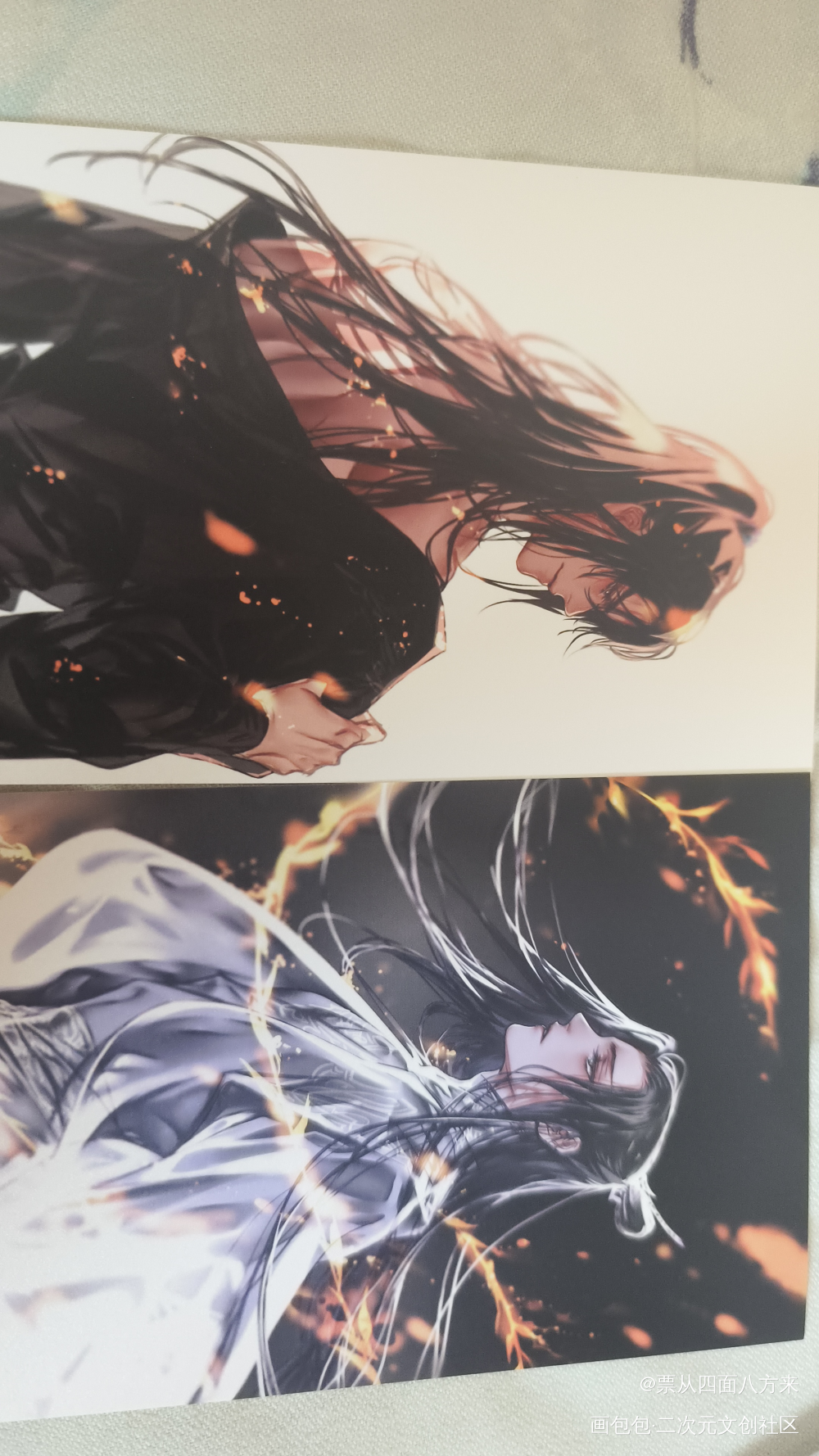 _二哈和他的白猫师尊授权返图绘画作品