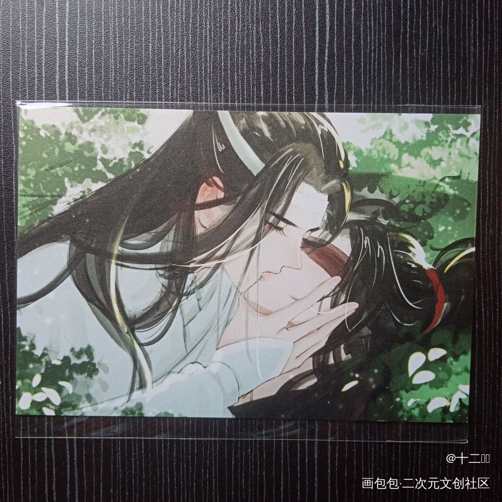 _魔道祖师授权返图绘画作品