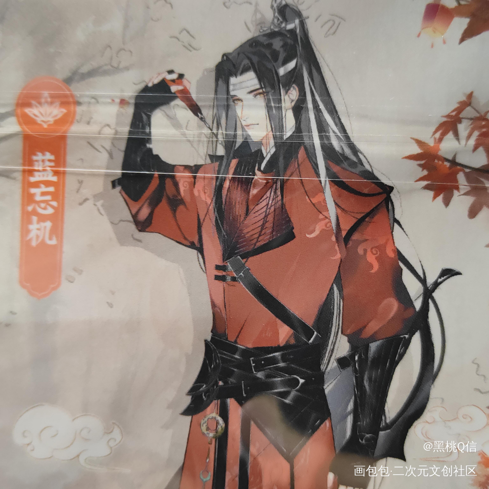 _魔道祖师授权返图绘画作品