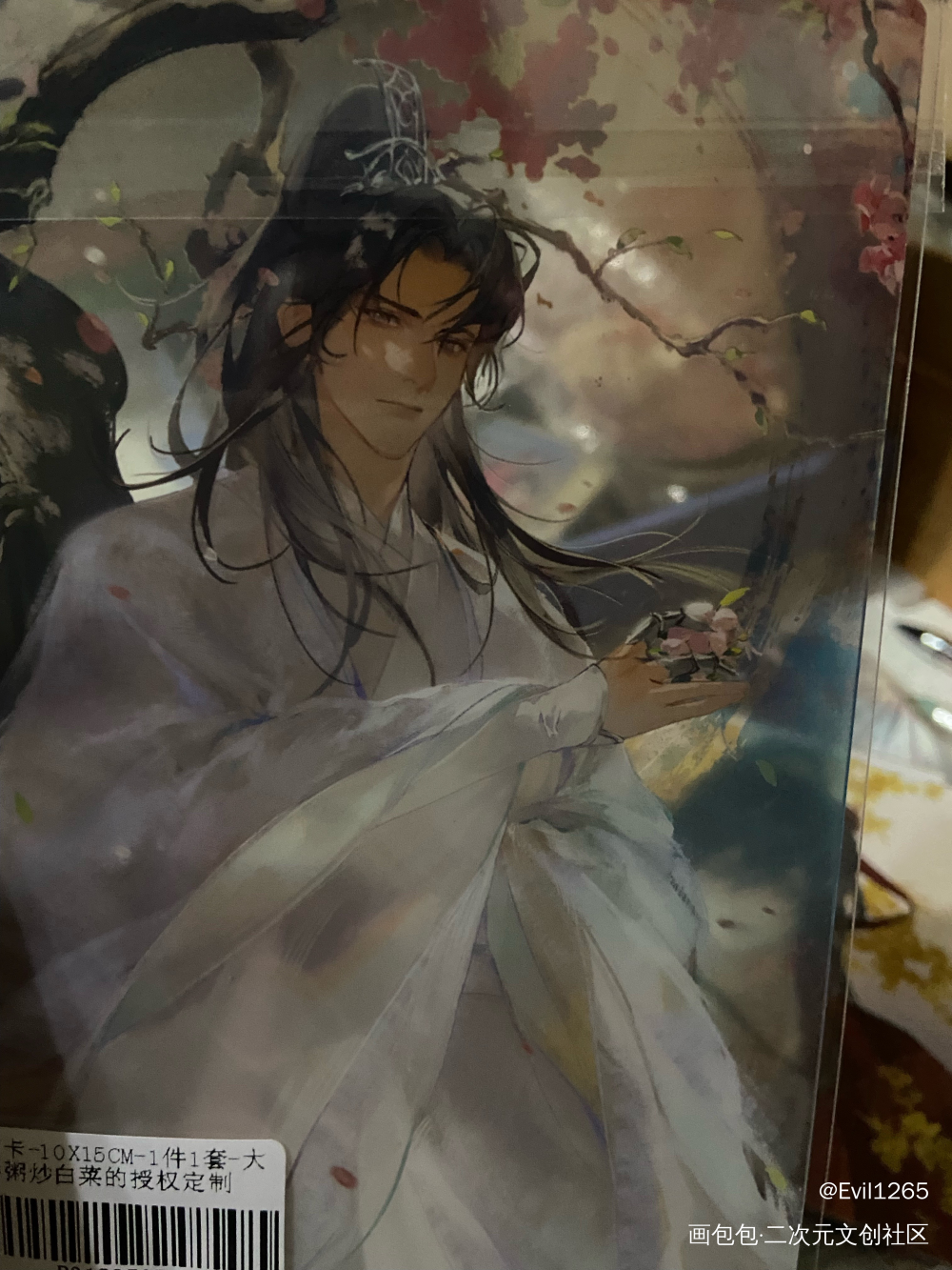 _二哈和他的白猫师尊授权返图绘画作品