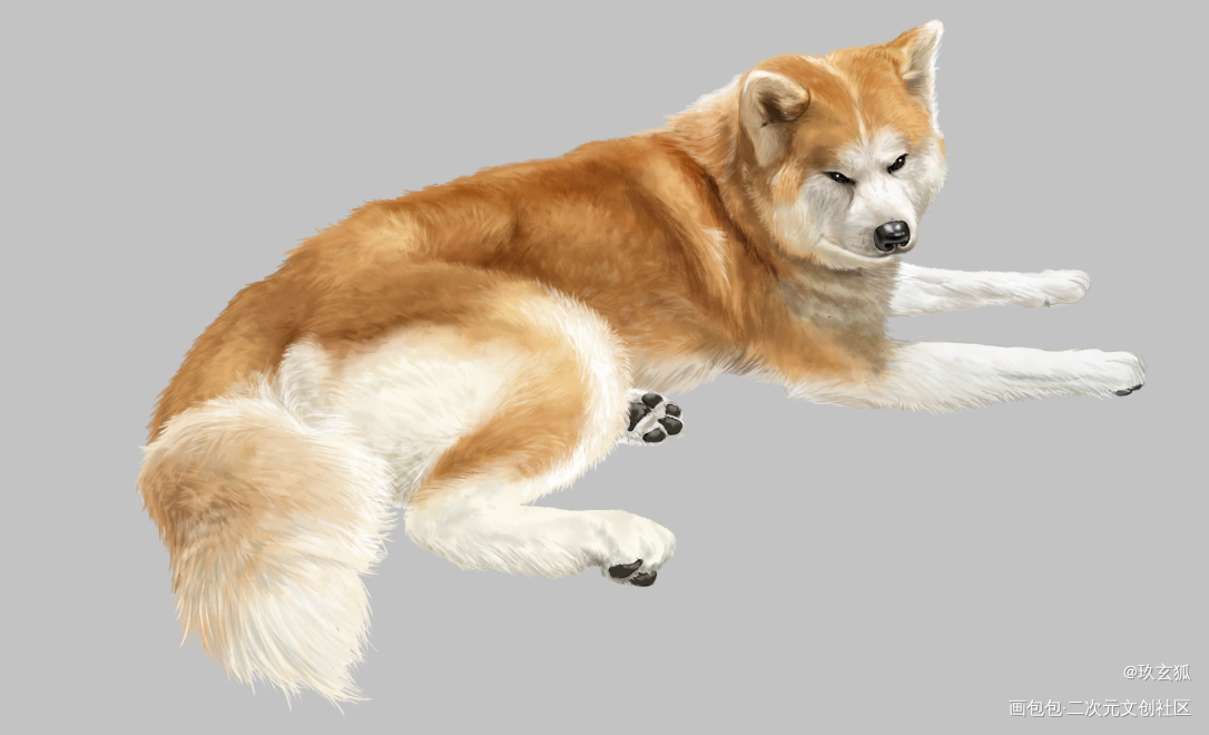 胖胖狗_手绘立绘可爱古风厚涂半厚涂水彩宠物小精灵绘画作品