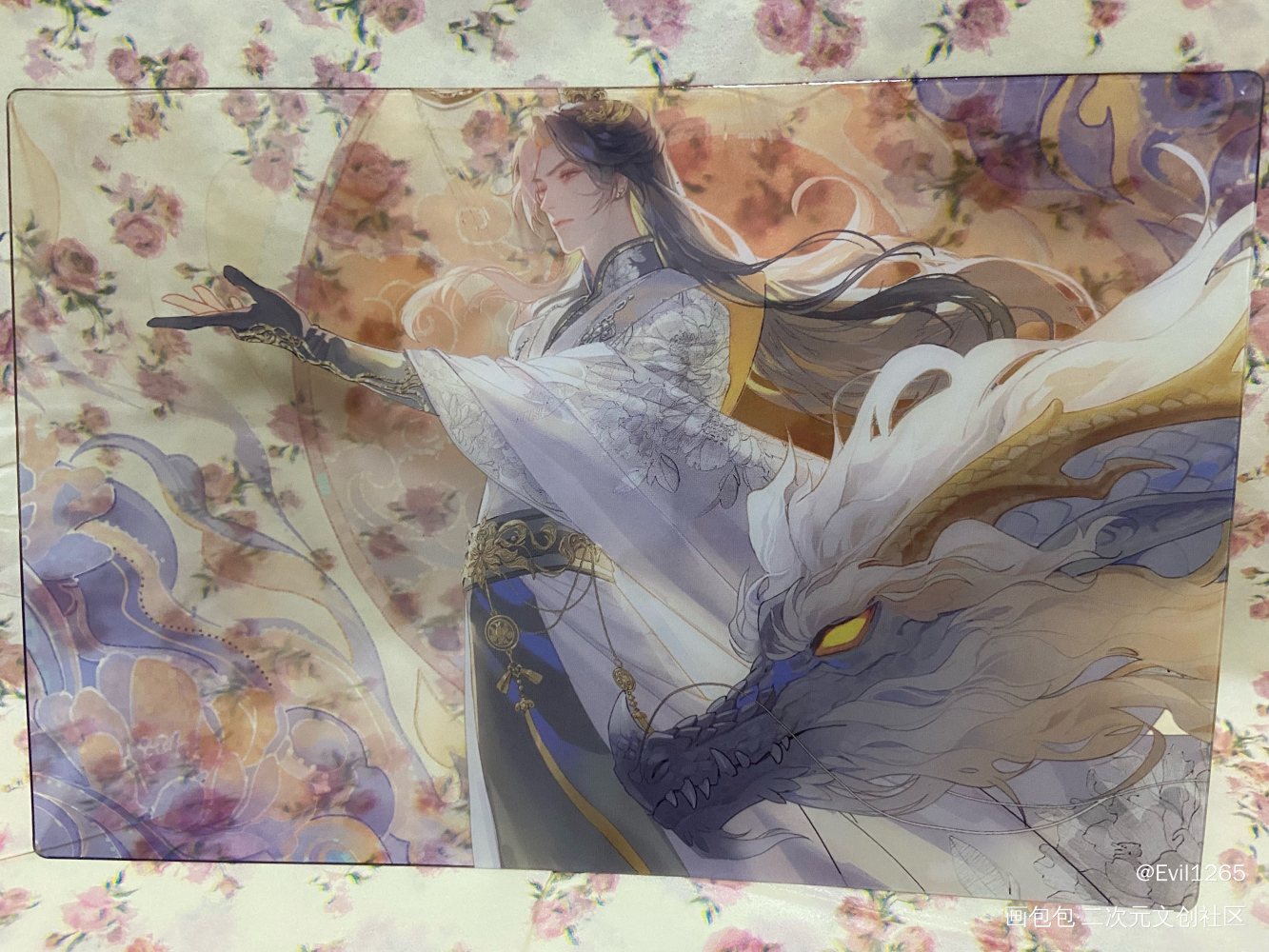 _二哈和他的白猫师尊授权返图绘画作品