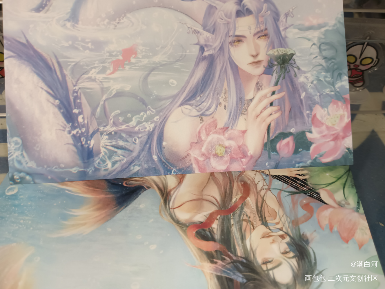 _魔道祖师无料返图绘画作品
