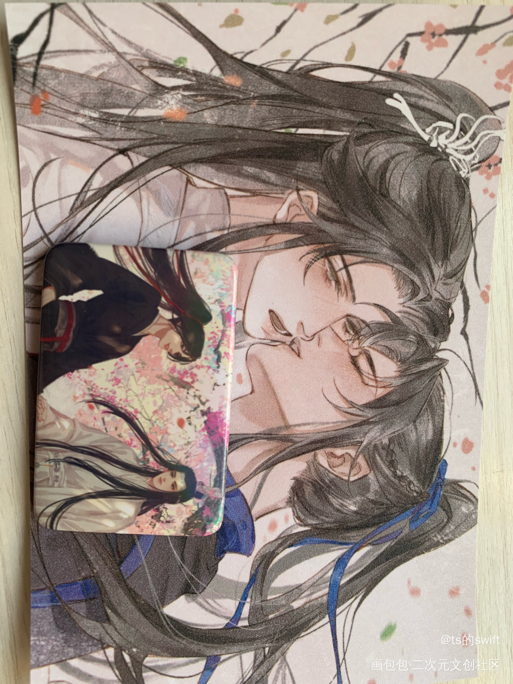 _二哈和他的白猫师尊无料返图绘画作品