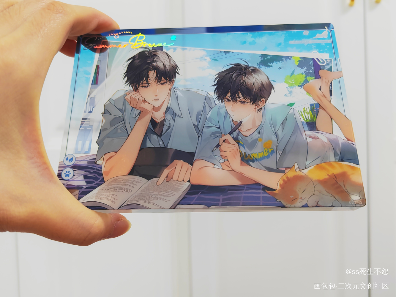 _某某绘画作品