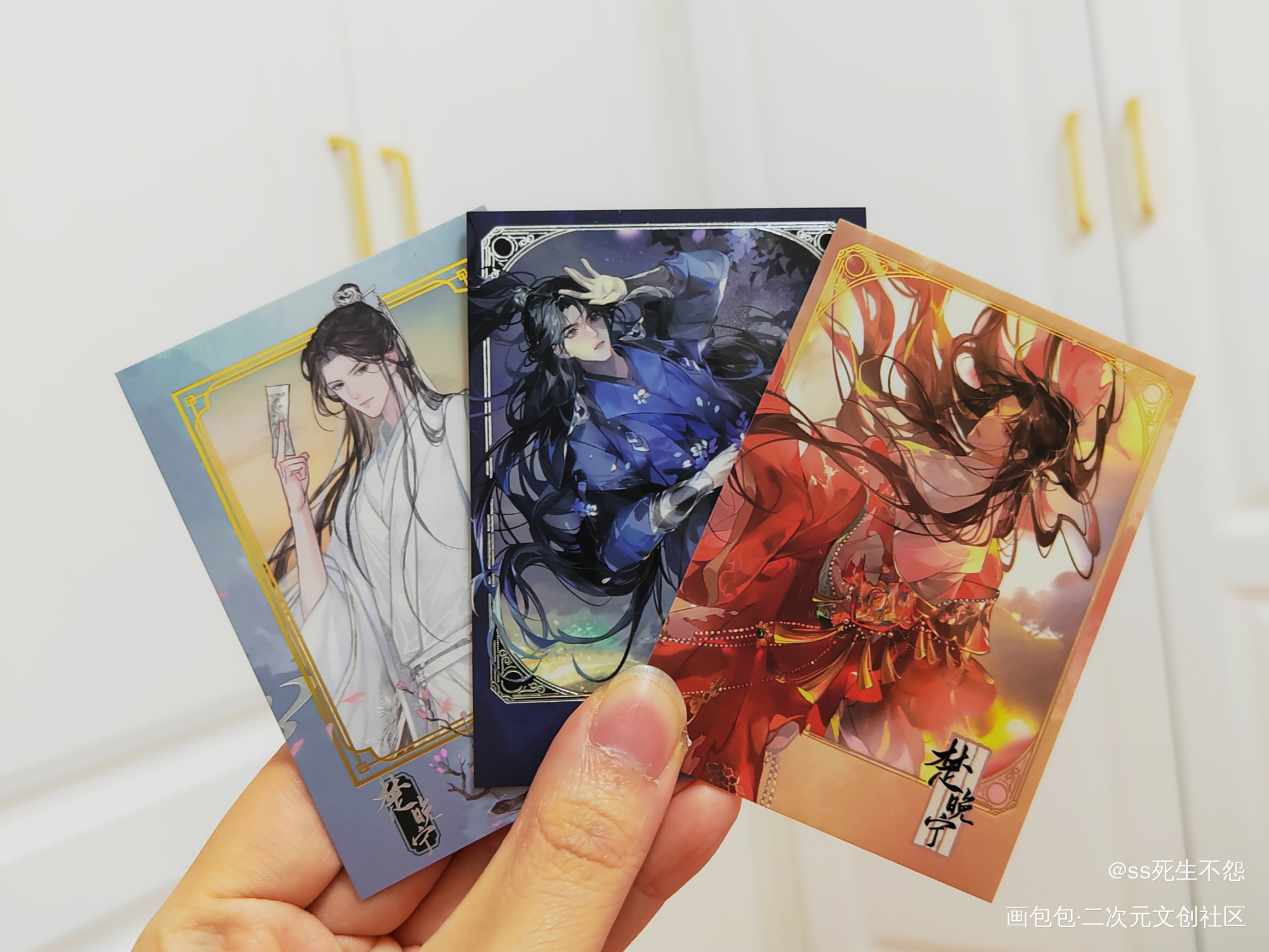 _二哈和他的白猫师尊绘画作品