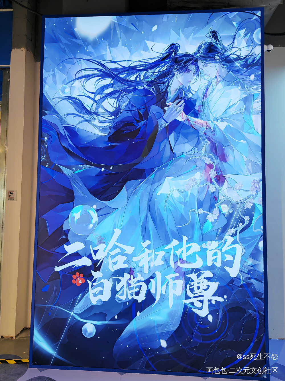 _二哈和他的白猫师尊绘画作品