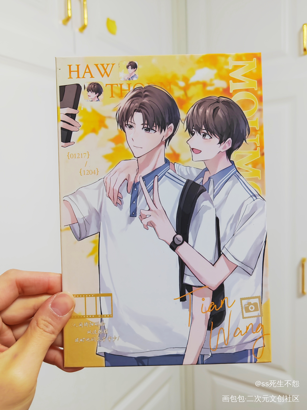 _某某绘画作品