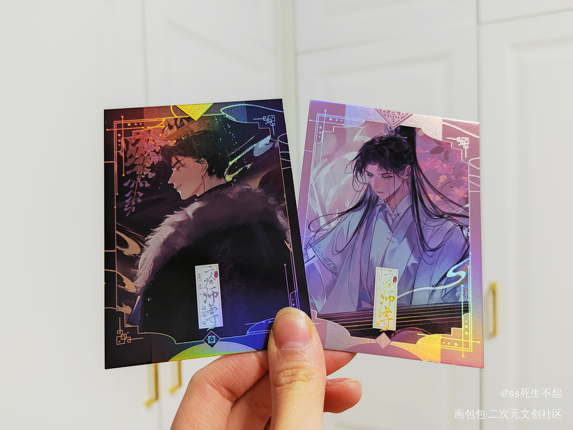 _二哈和他的白猫师尊稻田雪兔绘画作品