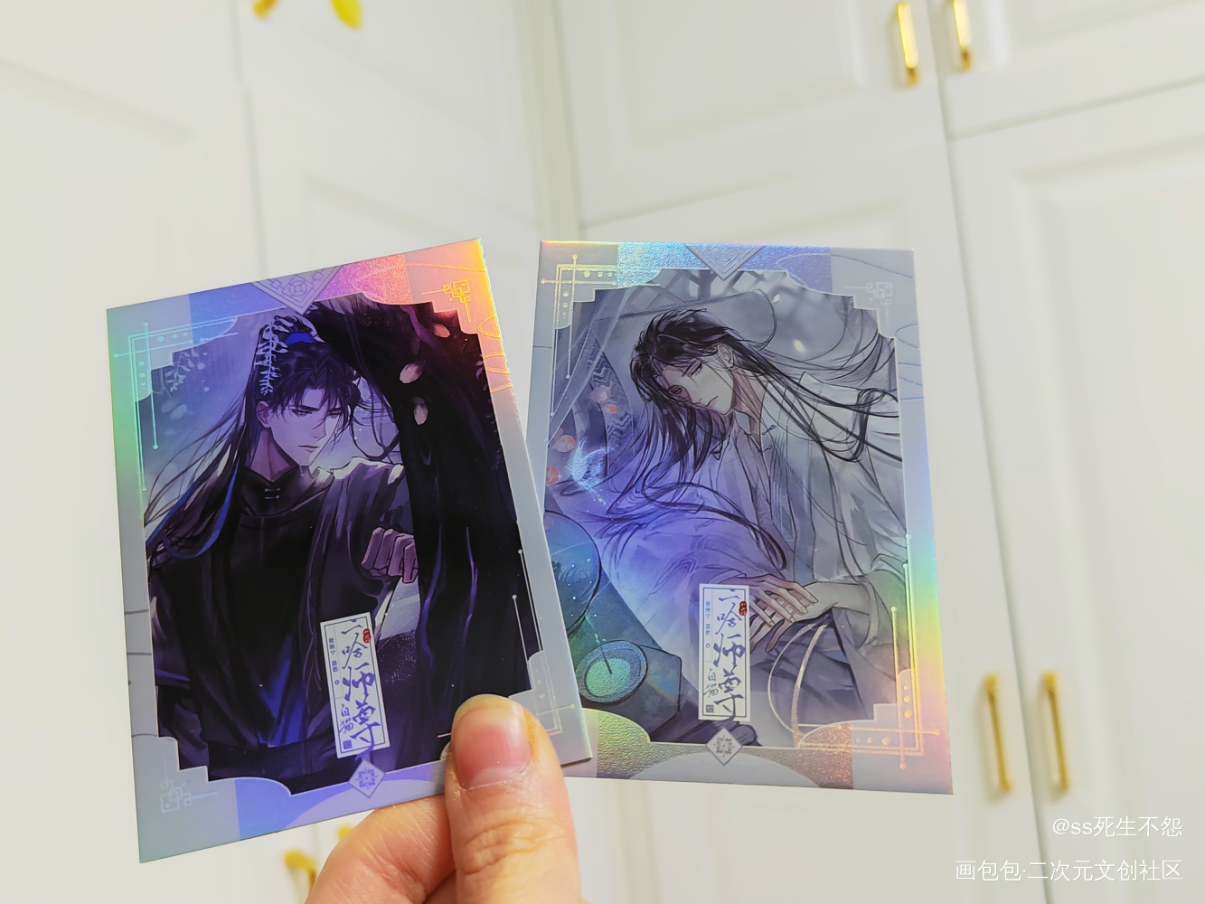 _二哈和他的白猫师尊稻田雪兔绘画作品